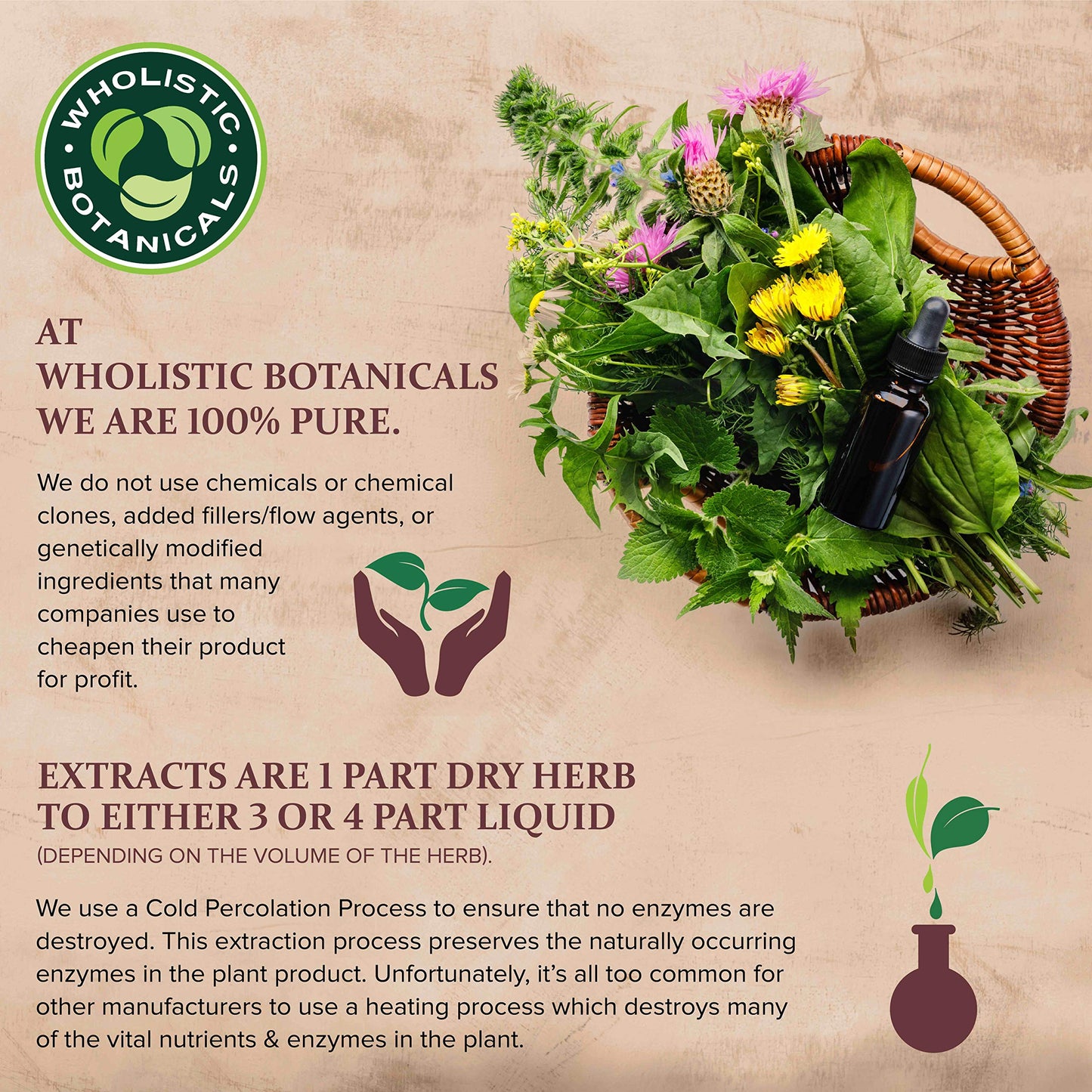 Wholistic Botanicals Flax Seed Oil Capsule 60 Count