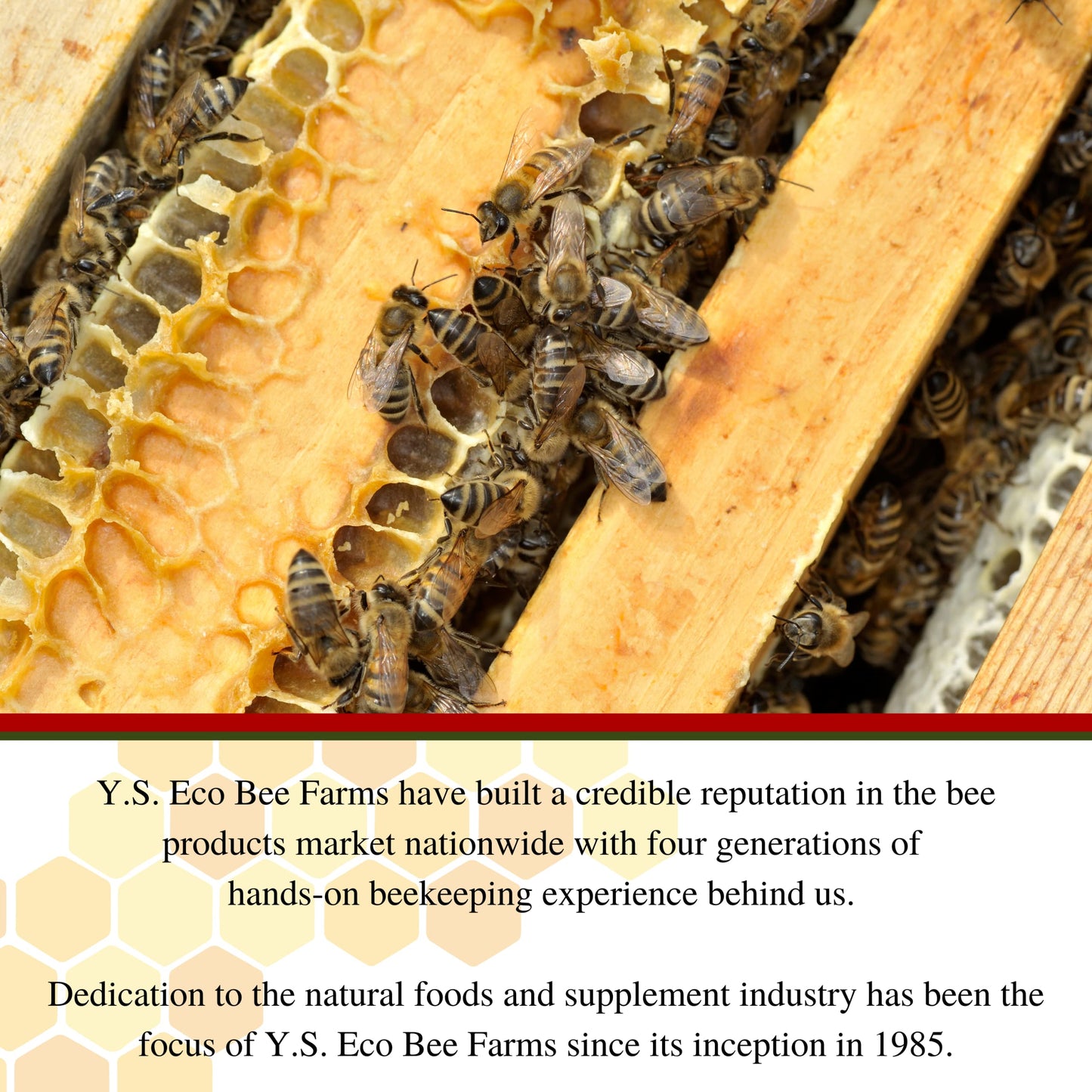 Worldwide Nutrition Triple Bee Complex Royal Jelly, Bee Pollen & Propolis with Korean Ginseng Capsule 90 Count