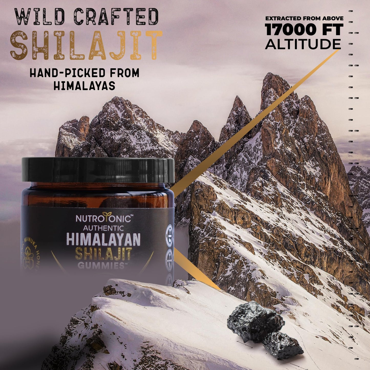NutroTonic LLC Organic Shilajit 60 Gummies