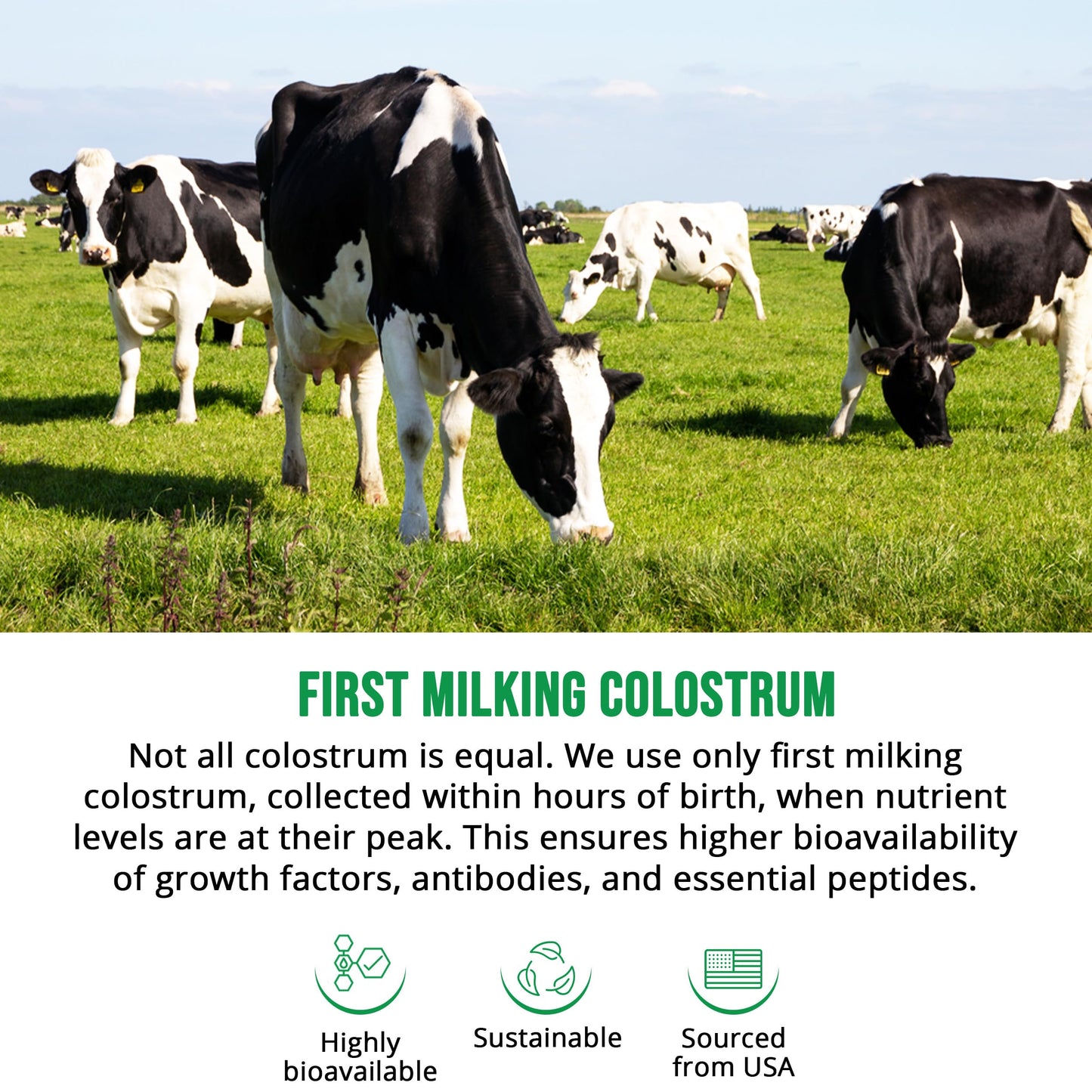 PHARMS Bovine Colostrum Capsules 60 Count