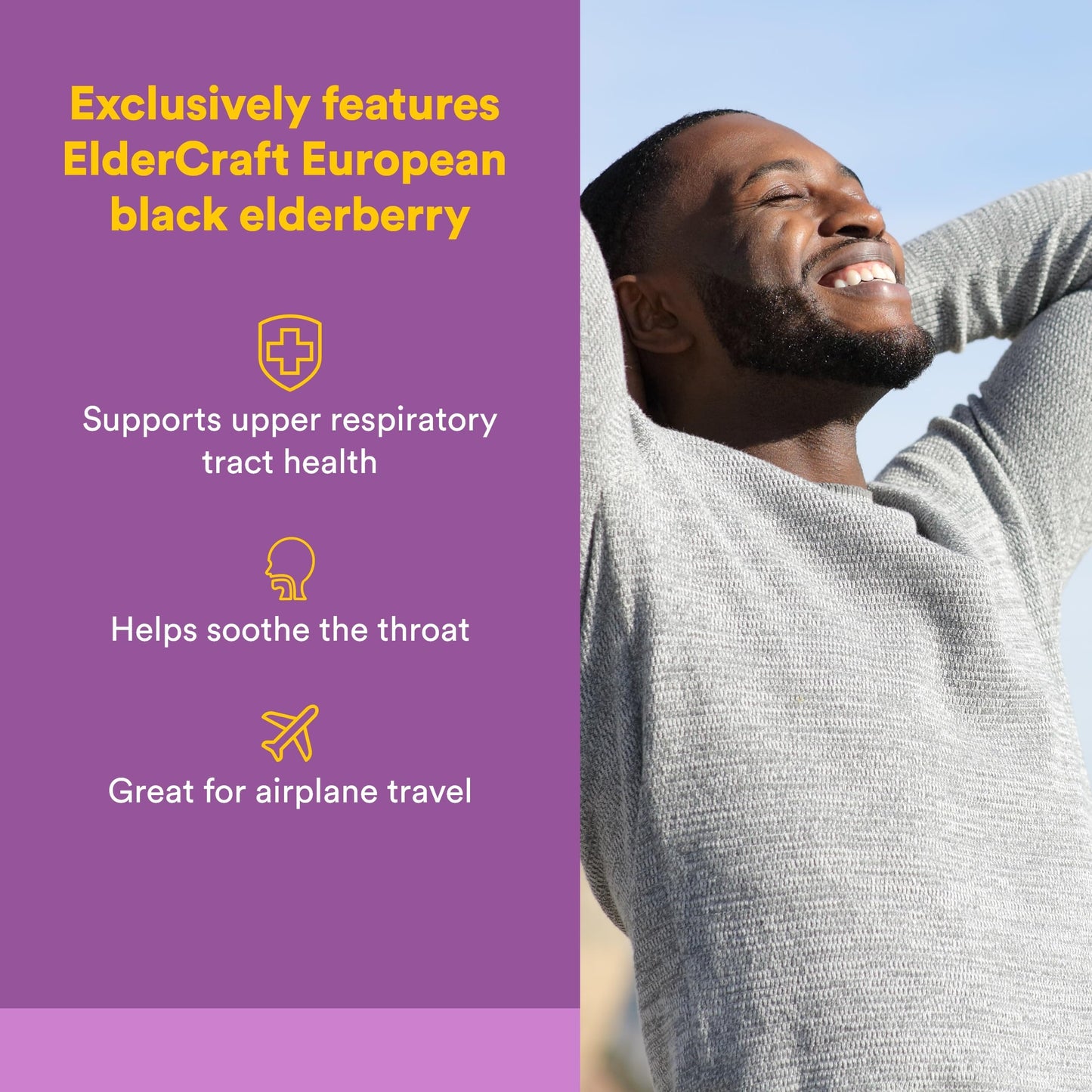 Natural Factors Sambucus Black Elderberry Standardized Extract Softgels 60