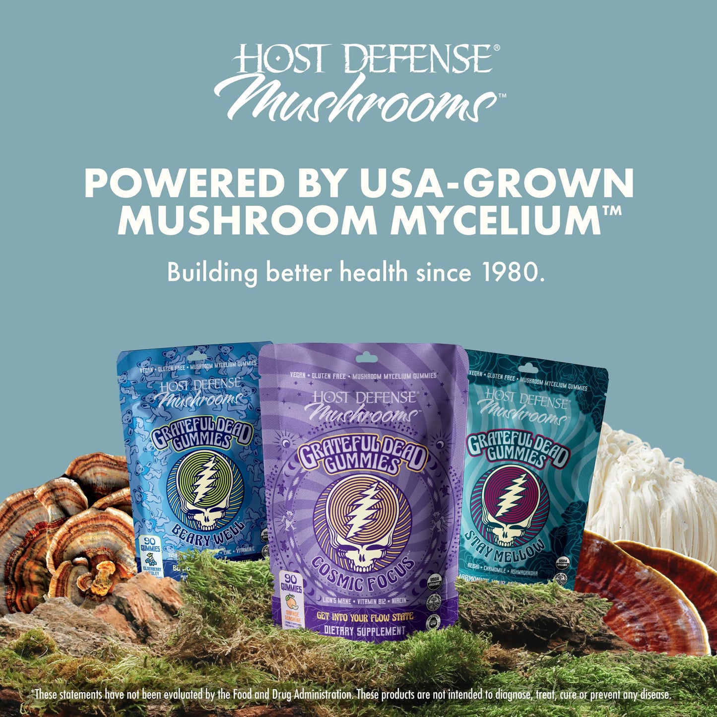 Host Defense Stay Mellow Grateful Dead Gummies - Reishi Mushroom Gummies with Ashwagandha, Chamomile & Lions Mane, Gummy, 90 Count