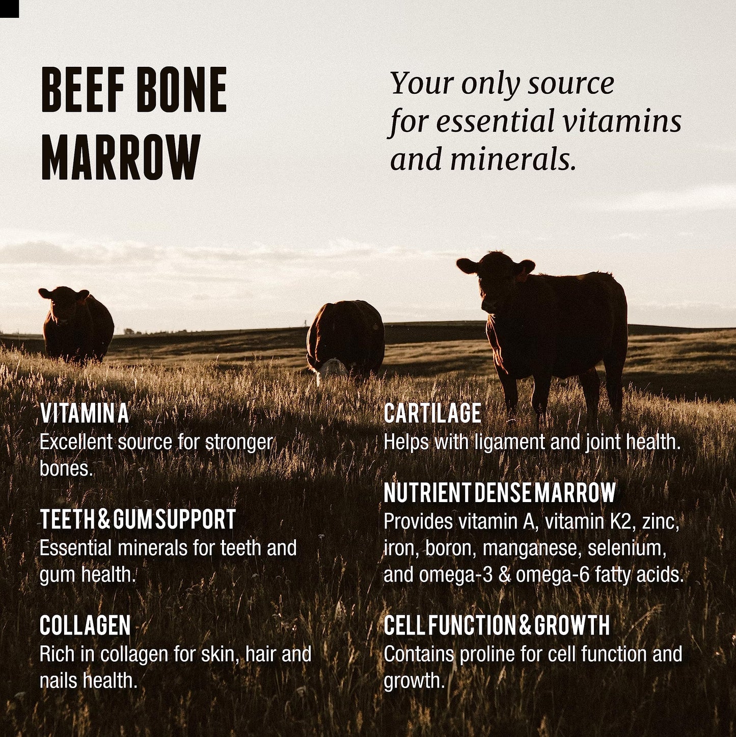 One Earth Health Grass Fed Beef Bone Marrow Supplement 200 Capsules