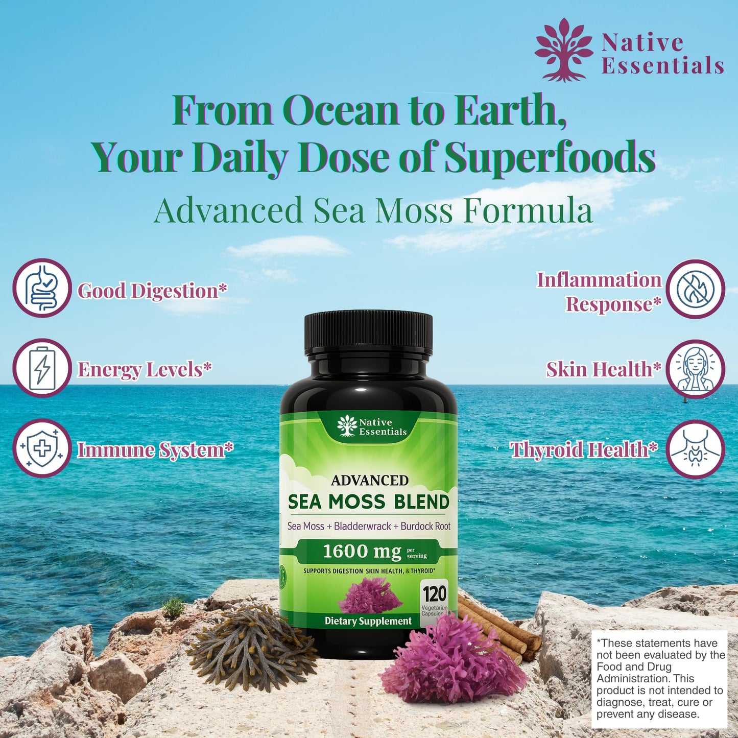 Native Essentials Sea Moss Complex 1600mg - Thyroid Immunity Skin Support Capsule, 120 Count