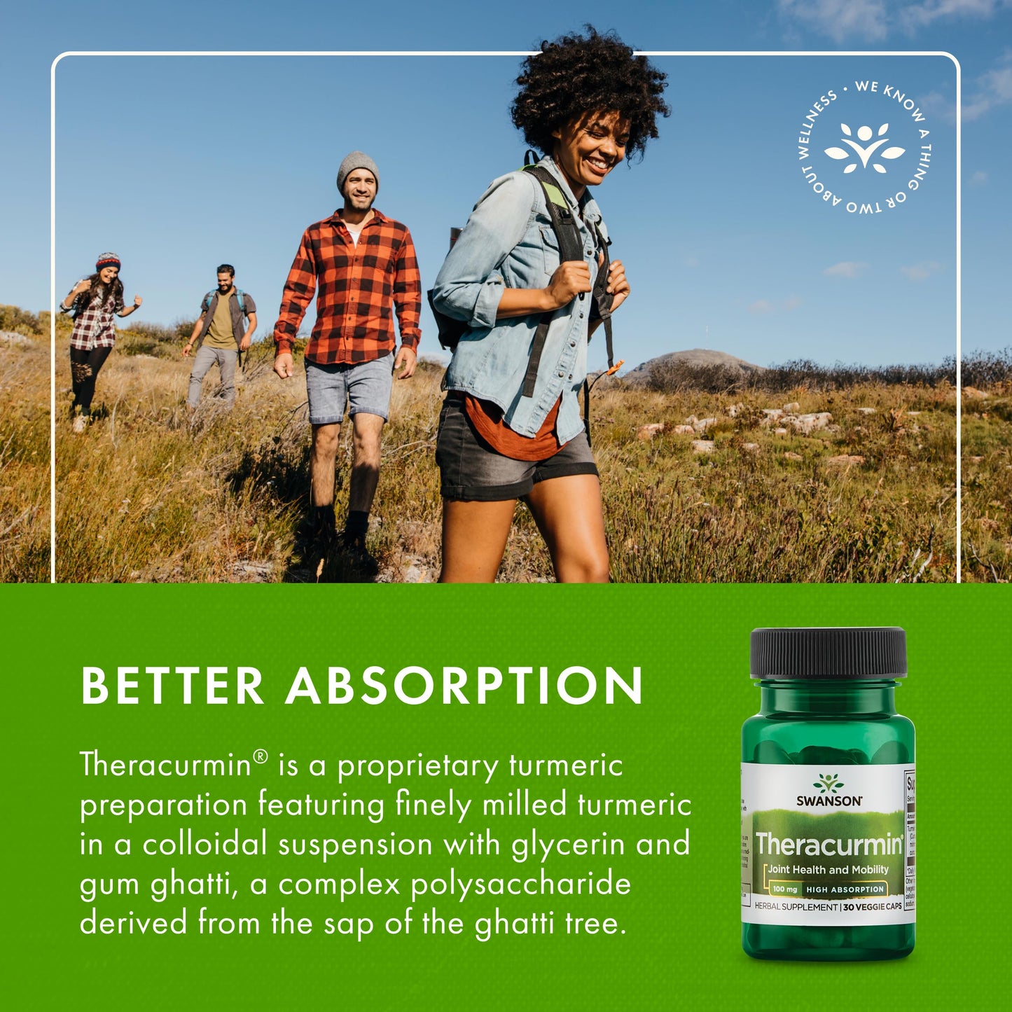Swanson Theracurmin Herbal Supplement Supporting Joint Health & Mobility 60 Capsules