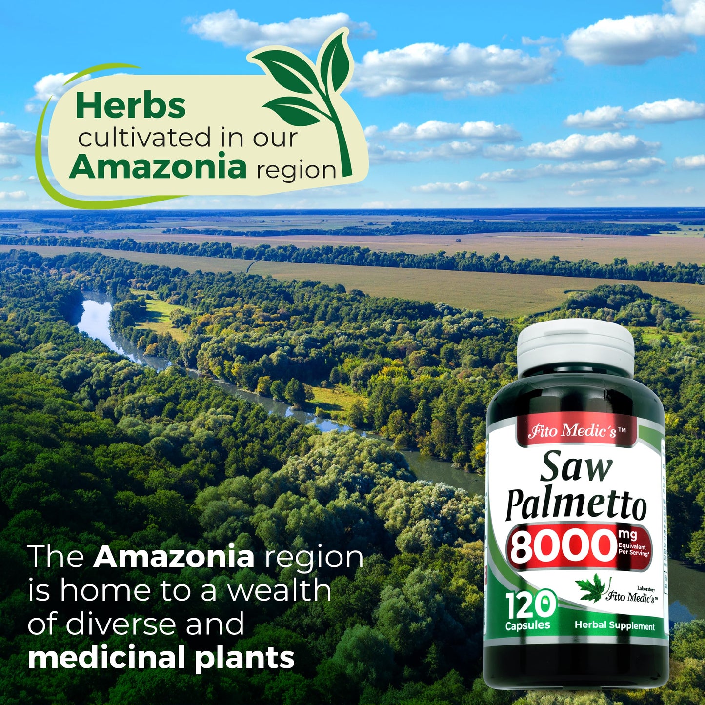 FITO MEDIC'S Saw Palmetto Capsules 120 Count