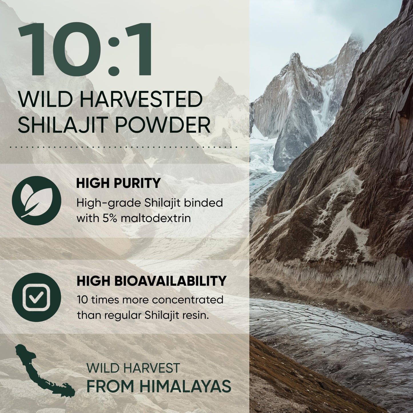 Jungle Powders Organic Wild Bilberry Extract for Eyes Powder, 1