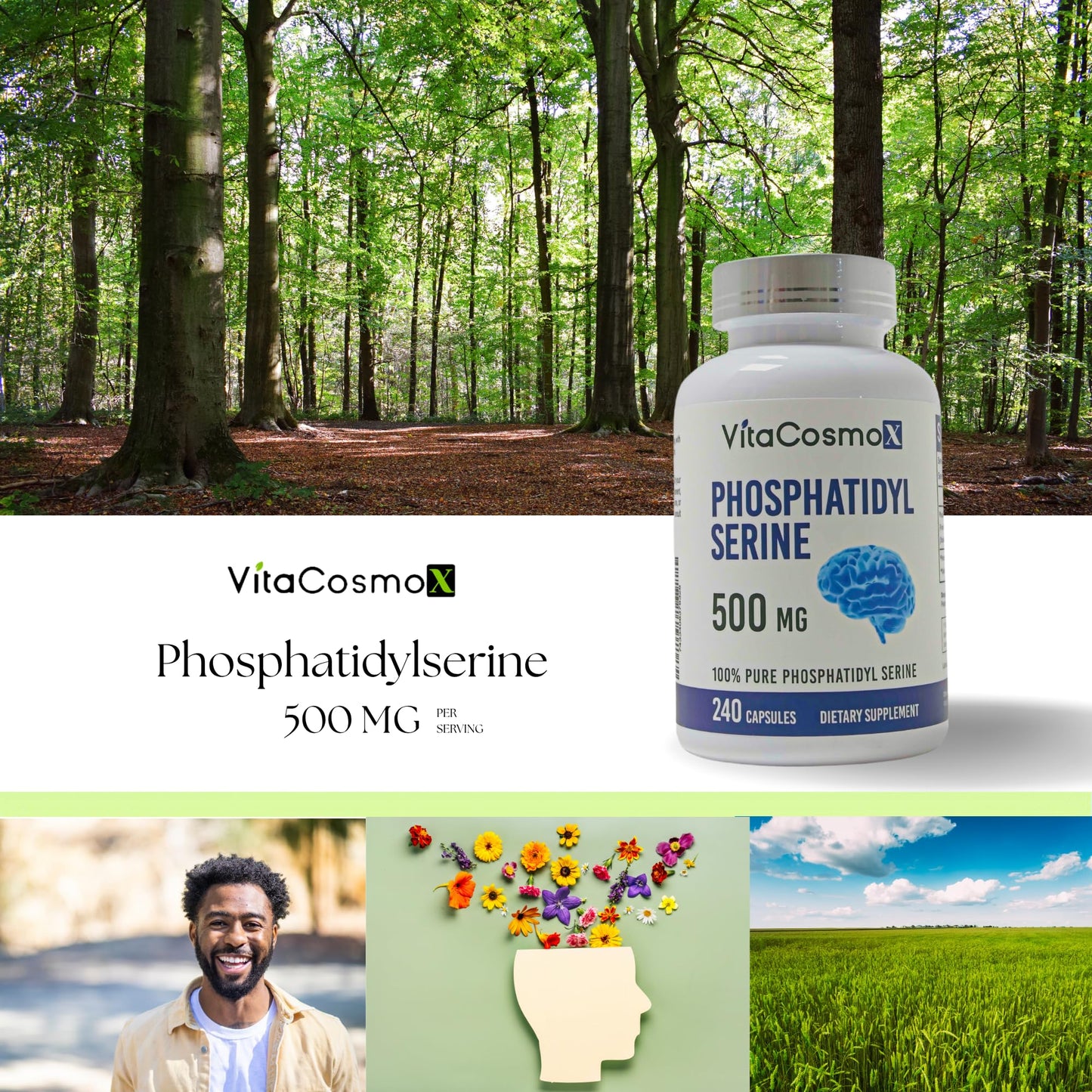 VitaCosmoX Phosphatidylserine 500mg Veggie Capsules, 480 Count