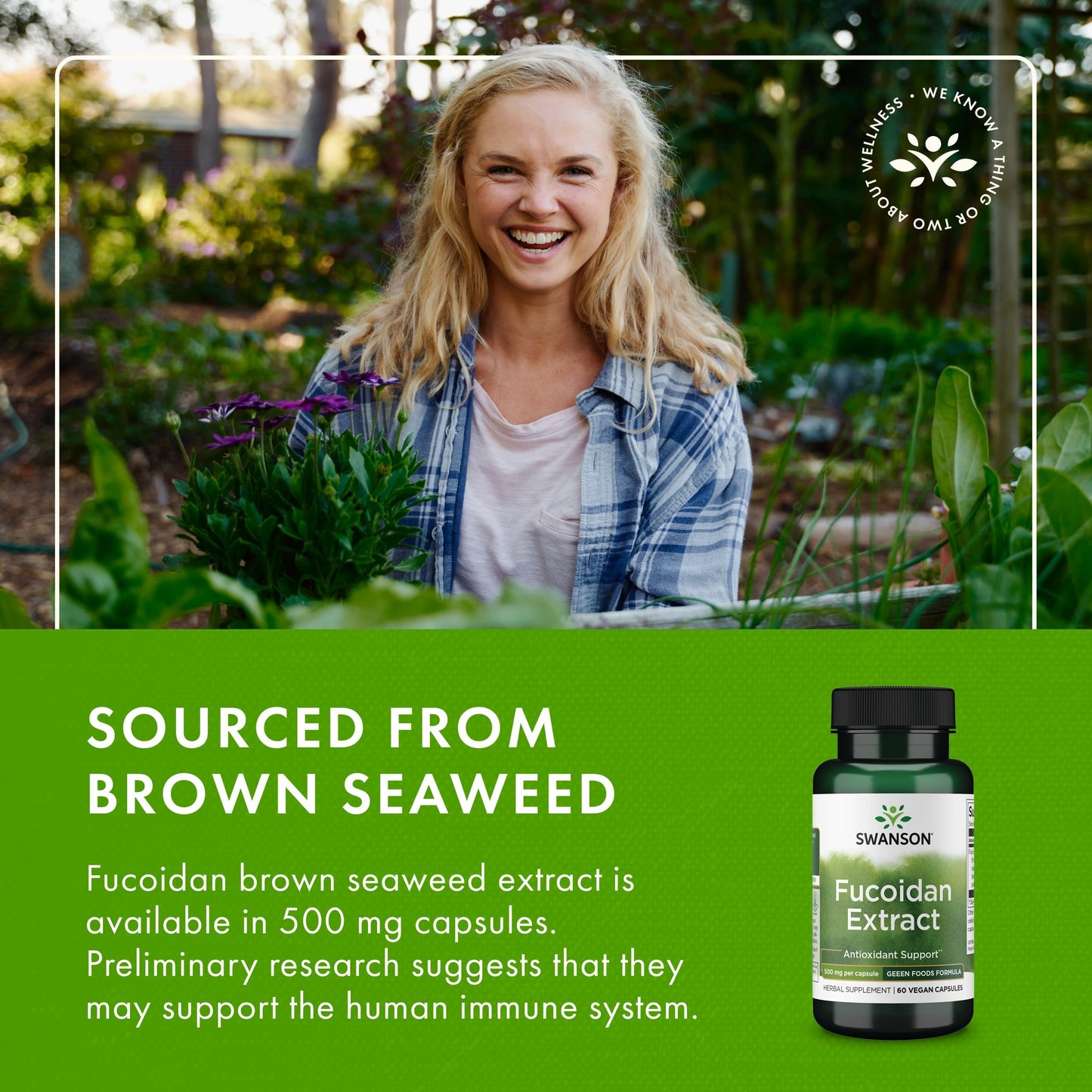 Swanson Maximum Strength Fucoidan Extract Immune Support, 180 Vegan Capsules