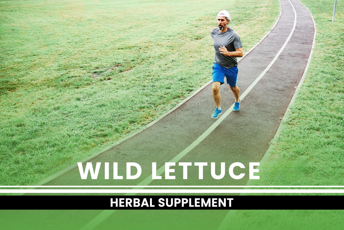 PURE ORIGINAL INGREDIENTS Wild Lettuce 365 Capsules