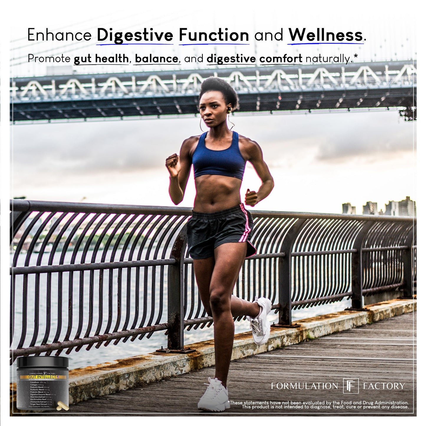 Formulation Factory Gut Intellect 10-in-1 Microbiome Supplement Capsules 240