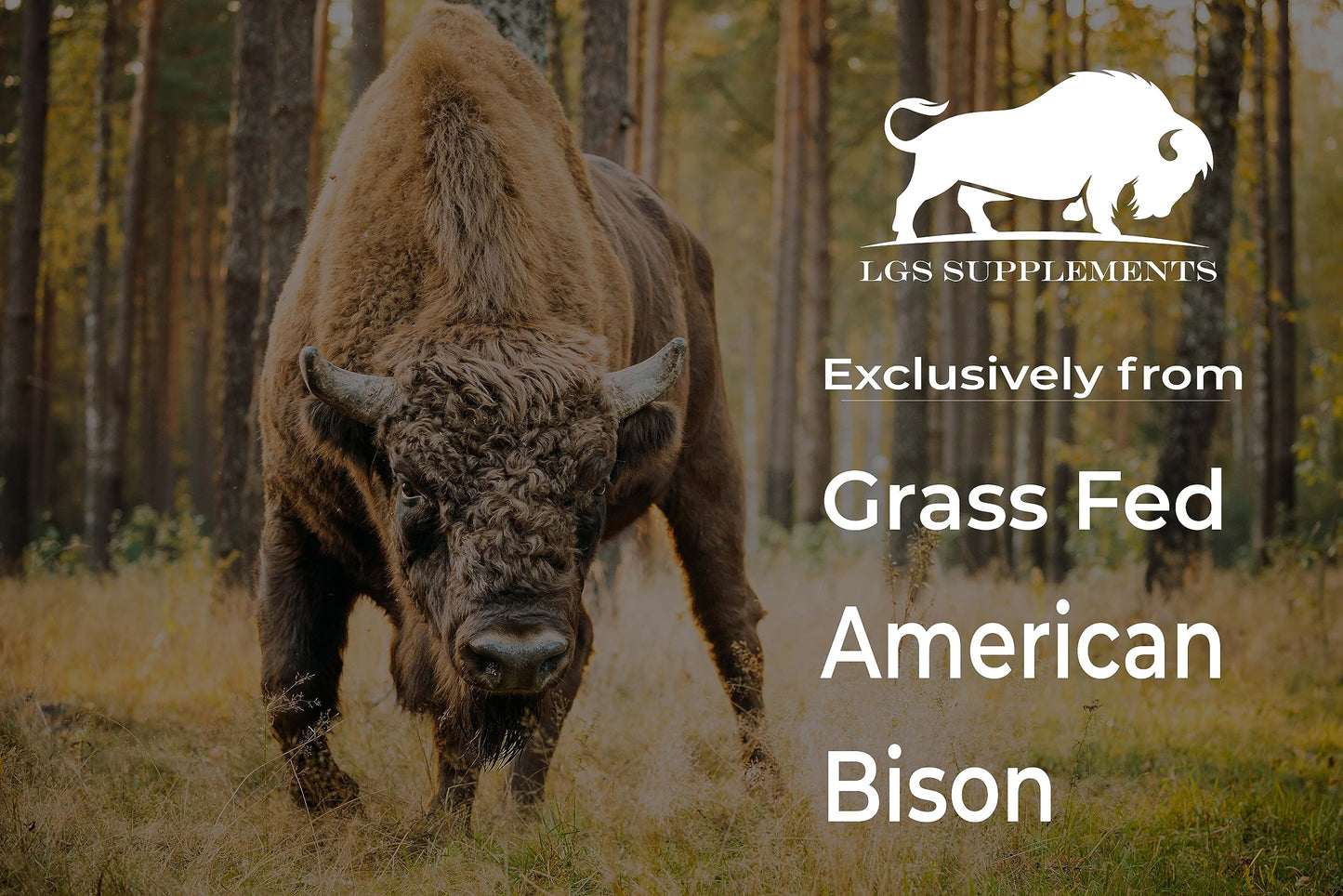 LGS Supplements Grass Fed Bison Organ Supplement Capsules, 180