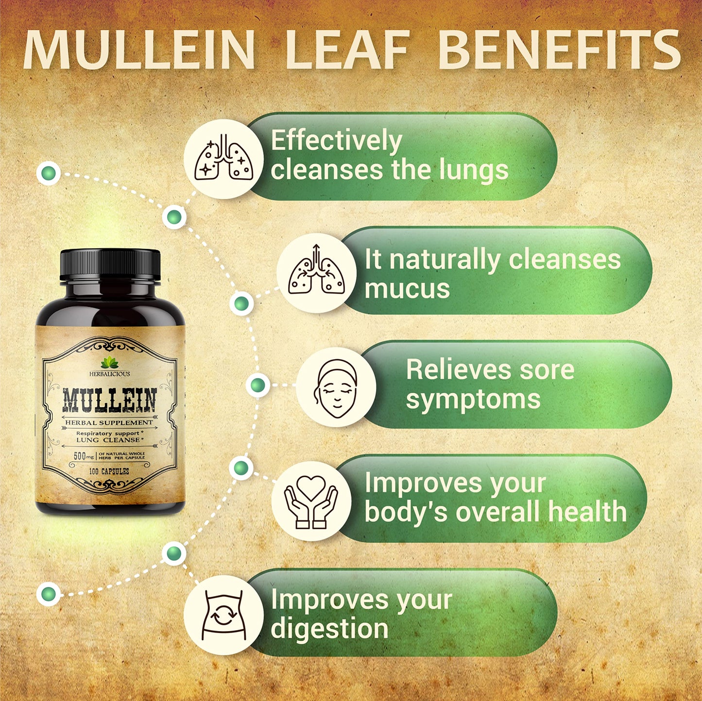 HERBALICIOUS Mullein Leaf Extract 100 Capsules
