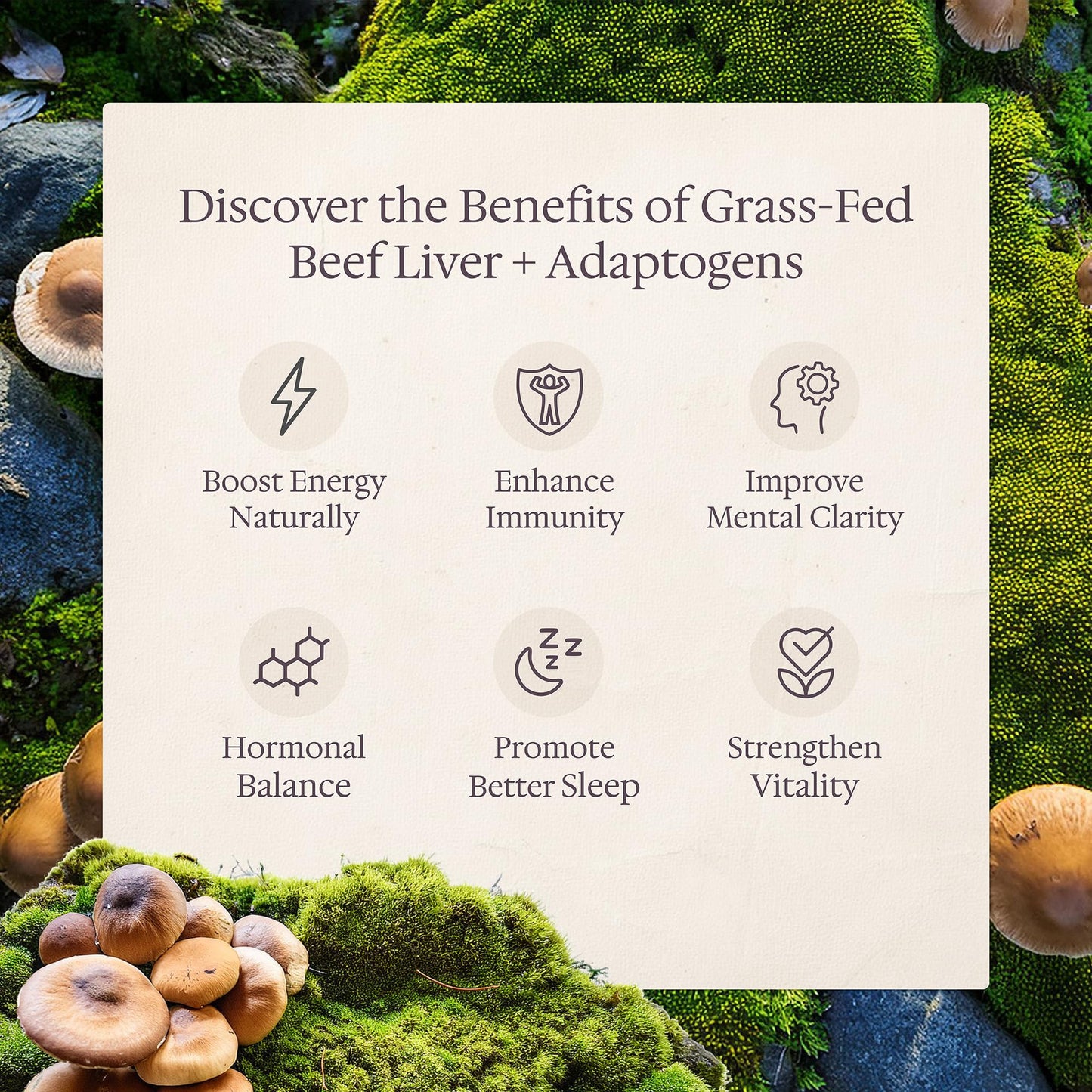 Genesis Nutrition Grass Fed Beef Liver with Cordyceps, Reishi, Panax Ginseng & Rhodiola Foundation 180 Capsules