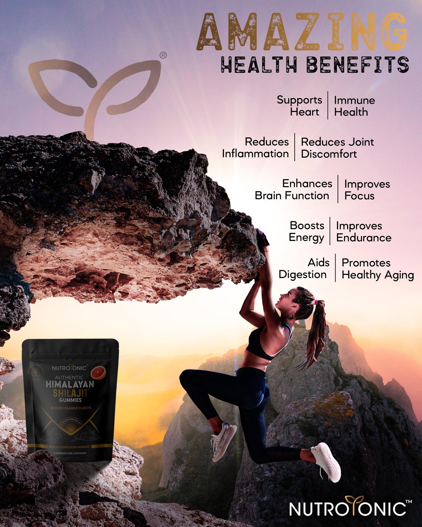 NutroTonic LLC Authentic Himalayan Shilajit Gummies Pack of 5