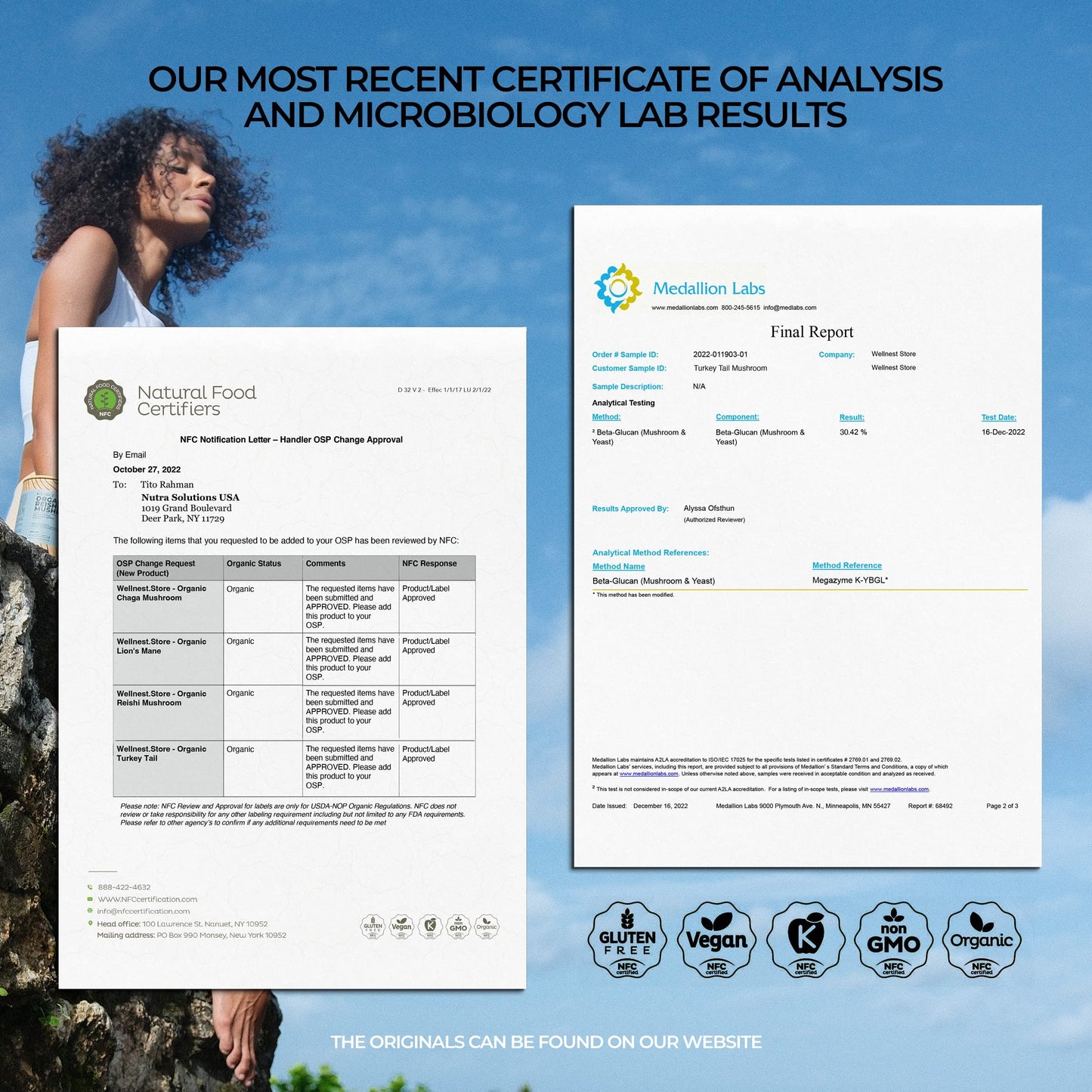 Wellnest.Store Turkey Tail Organic Mushroom (Trametes Extract) Capsule, 60 Count