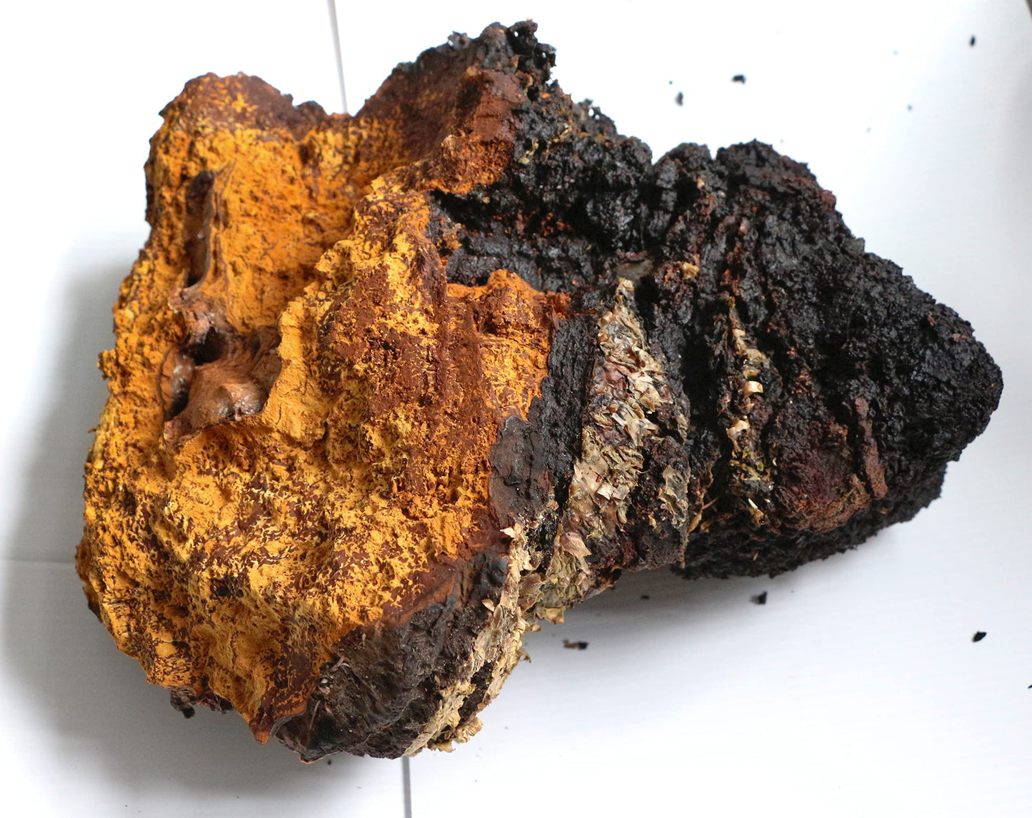 Meteor Mushrooms Chaga Mushroom Powder, 3.53 Ounce