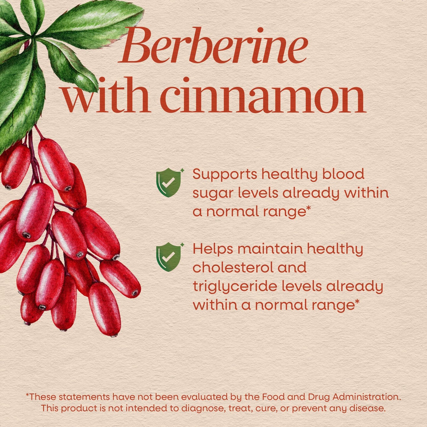 Nature's Way Berberine with Cinnamon 500 mg Berberine HCl Capsule, 60 Capsules