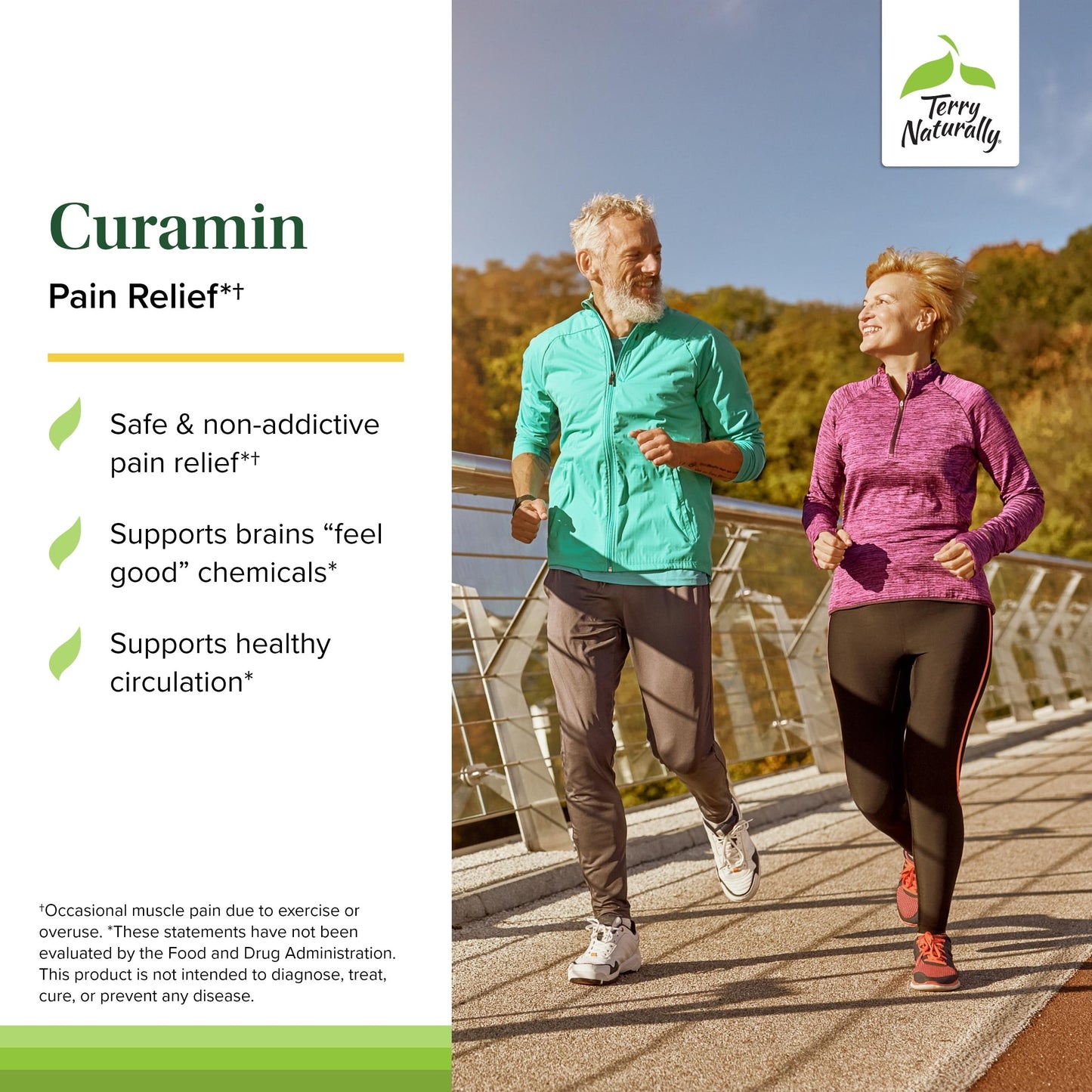 Terry Naturally Curamin Curcumin Supplement for Circulation & Endorphin Support Capsules, 60 Count