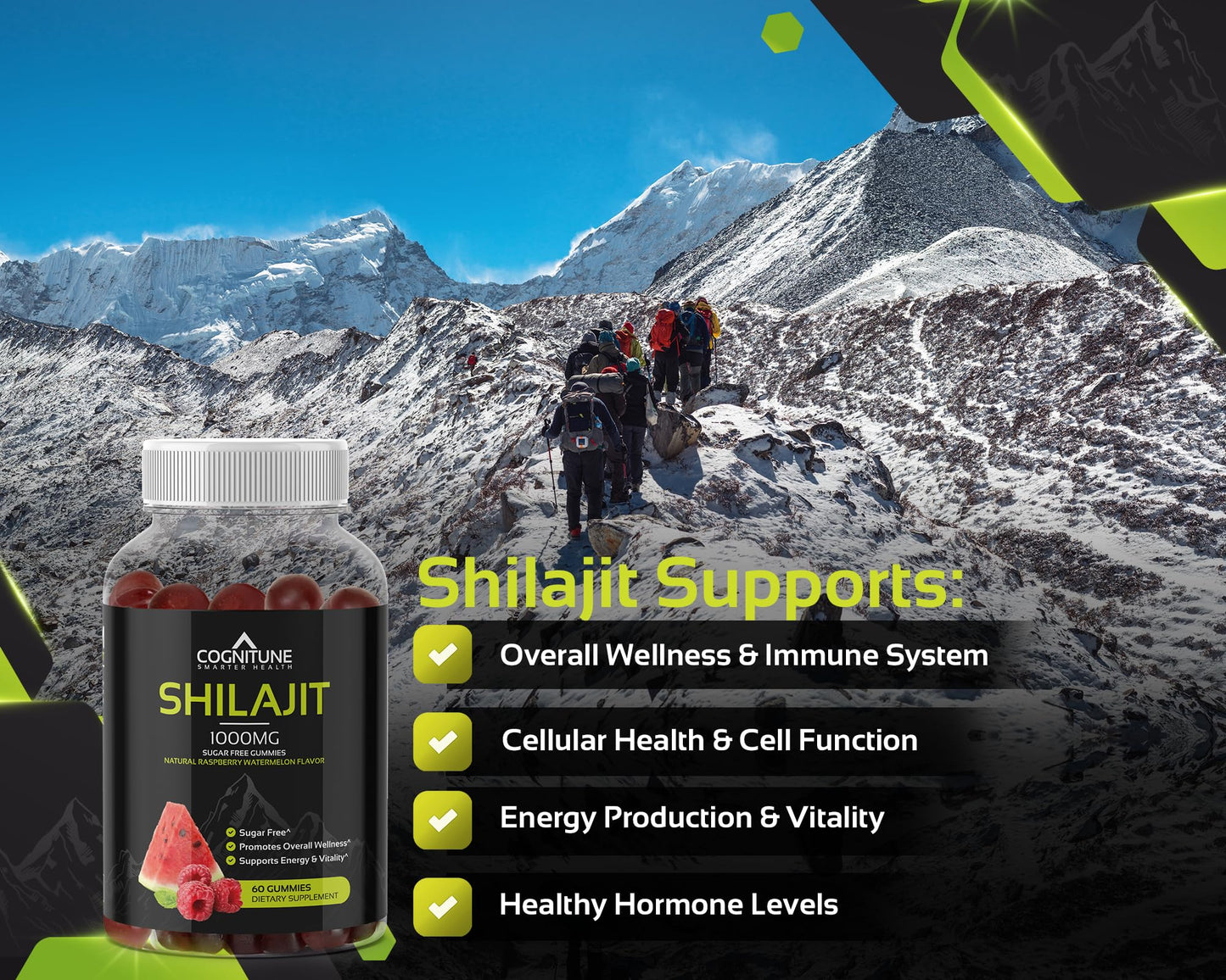 CogniTune Shilajit Gummies 60 Count