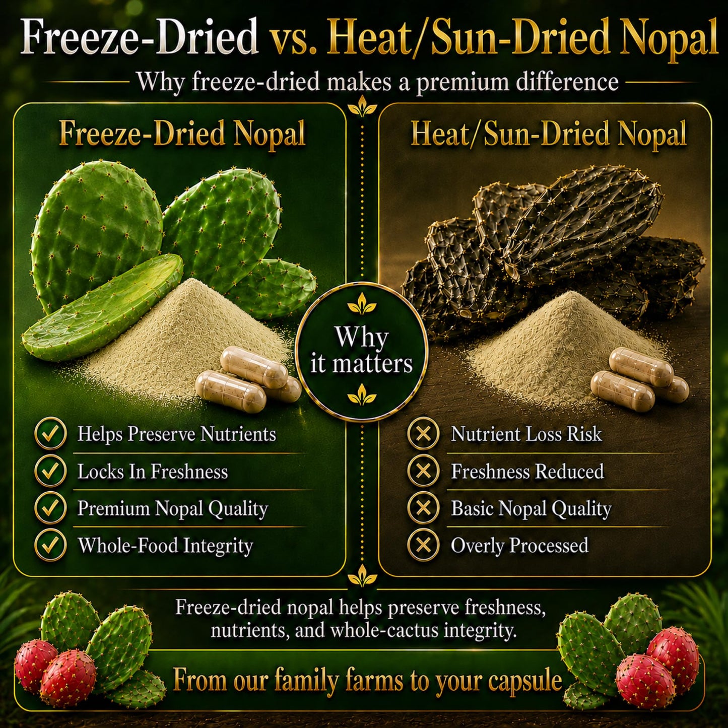 Natural Home Cures Premium Freeze-Dried Nopal Cactus Capsules, 360 Capsules
