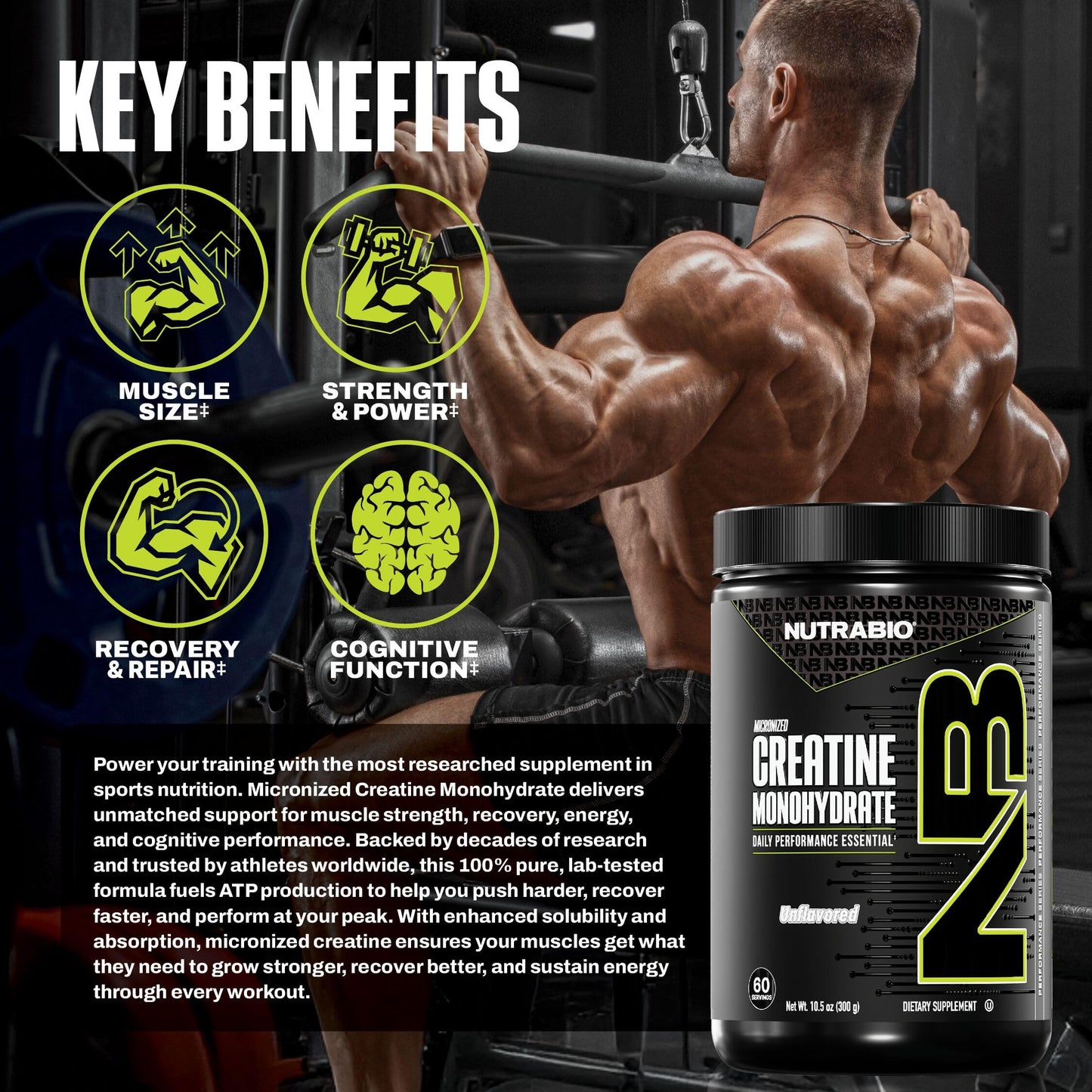 NutraBio Pure Micronized Creatine Monohydrate Powder 10.6 oz