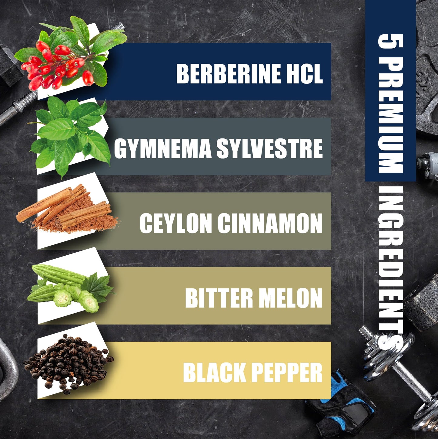 BMVINVOL 5-in-1 Berberine Supplement with Ceylon Cinnamon, Gymnema Sylvestre, Bitter Melon & Black Pepper Capsule 90 Count