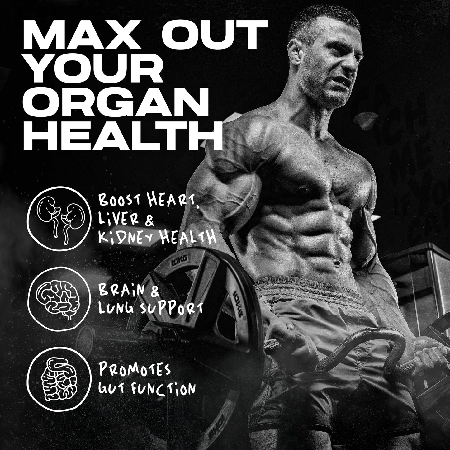 AFTERDARK OrganX Organ Support Capsule, 150 Capsules