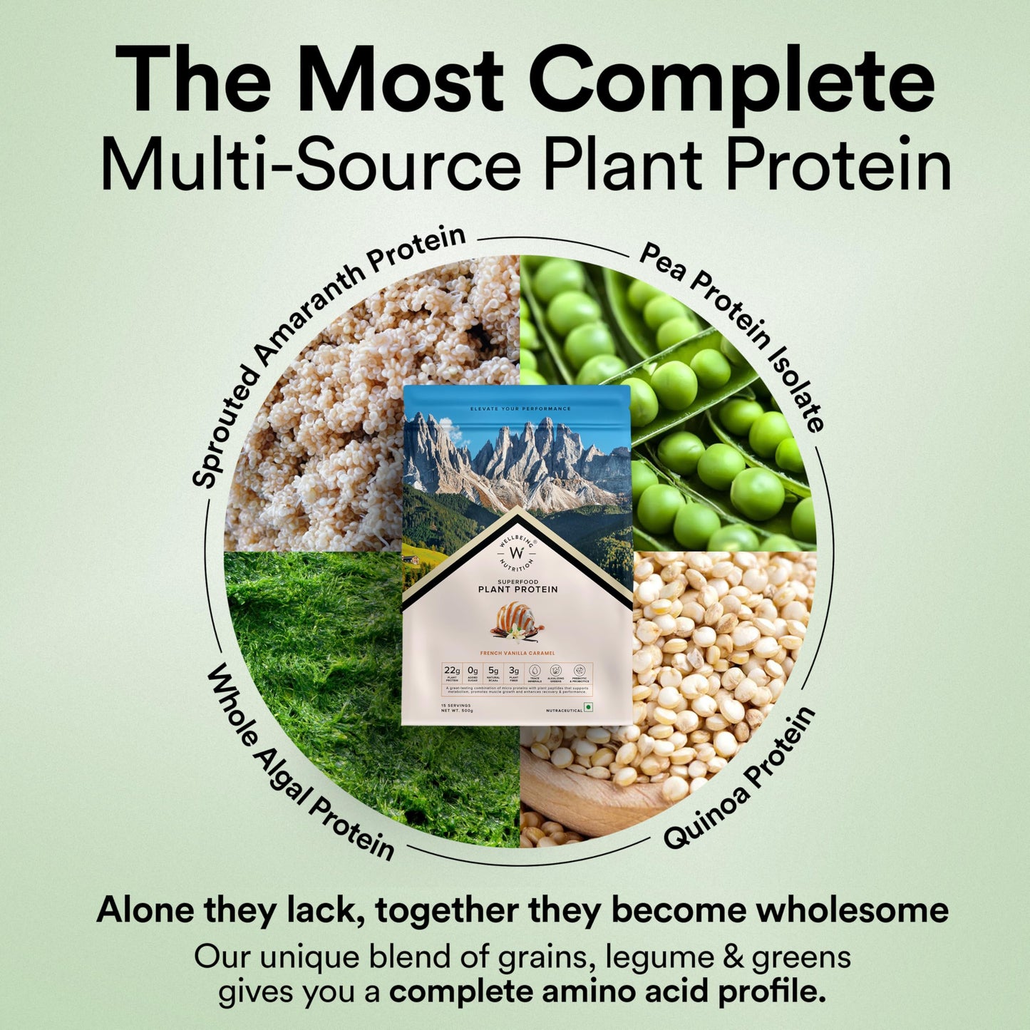 WELLBEING NUTRITION Organic Vegan Plant Protein Isolate Powder, French Vanilla Caramel, 1.1 lb