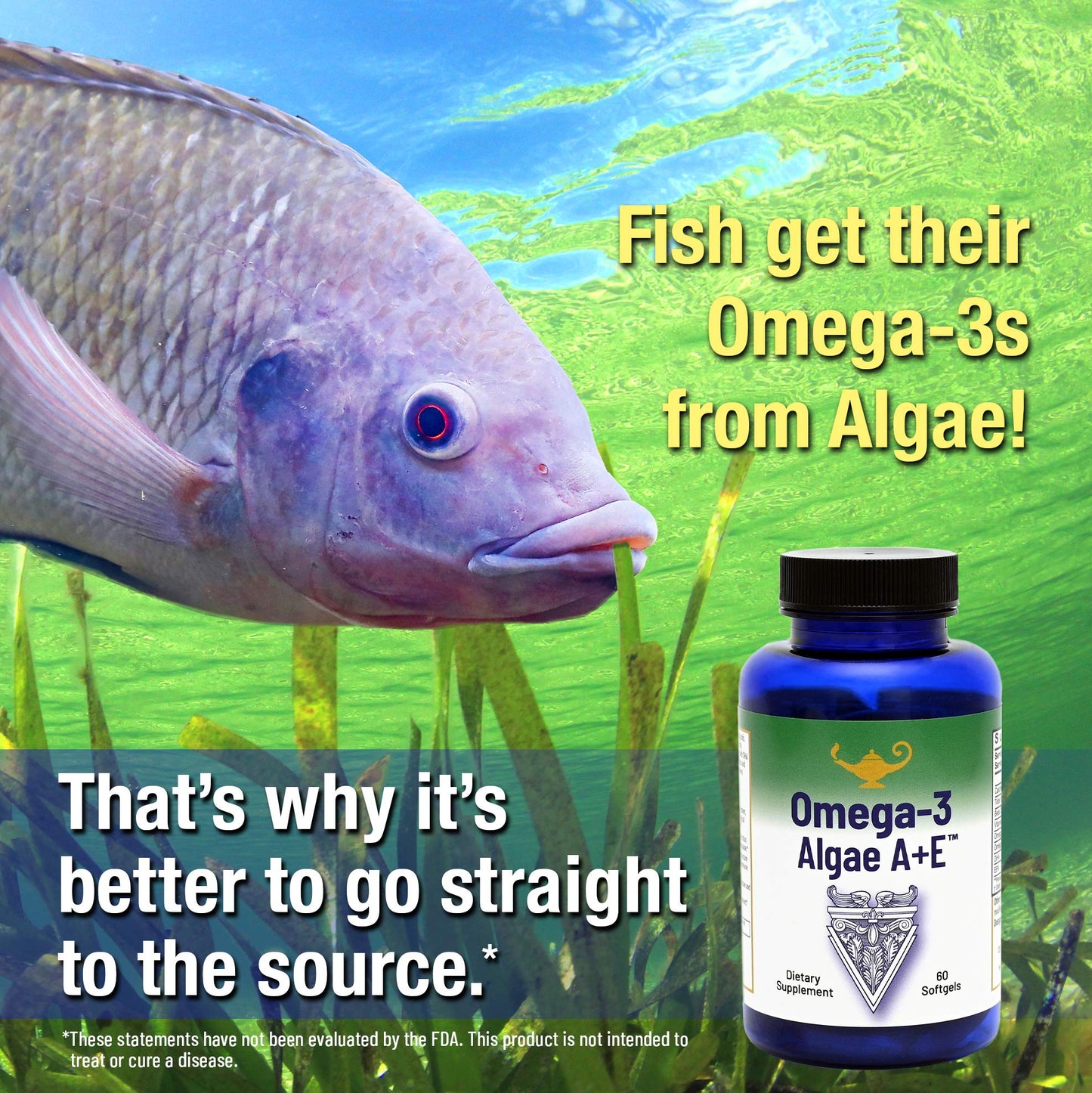 RnA ReSet Omega-3 Algae A+E Capsule 1 Count