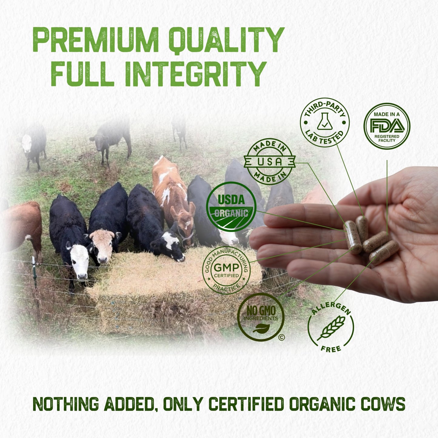 Grassfat Grassfed Beef Organ Supplements Capsules 20 Count