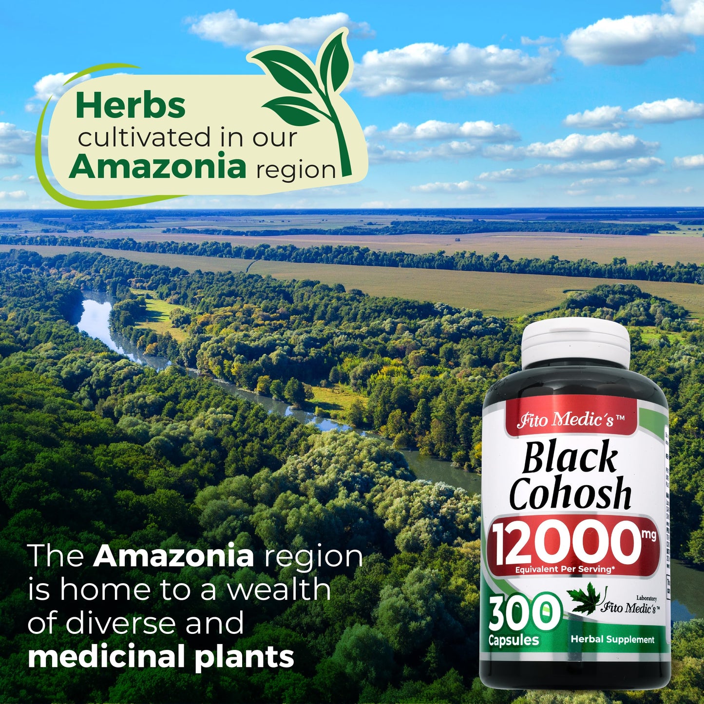 FITO MEDIC'S Black Cohosh Capsule, 300 Capsules