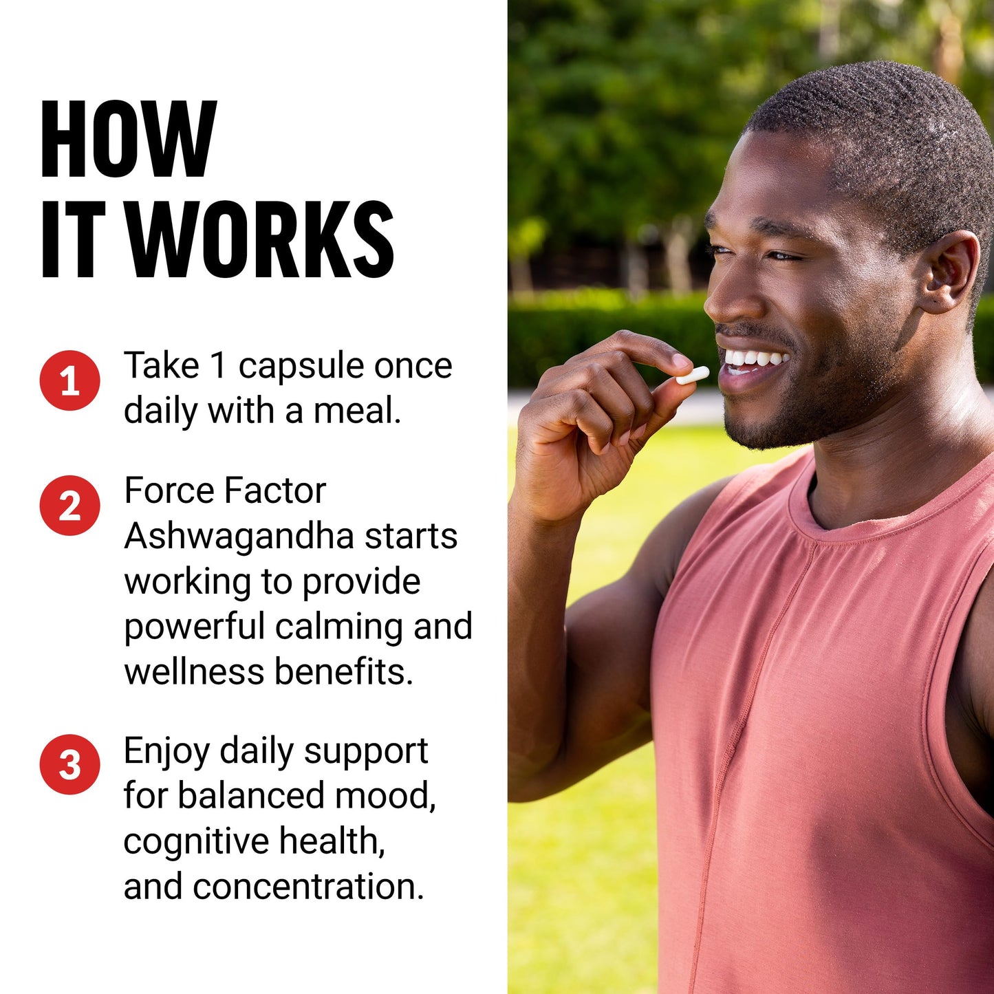 Force Factor Ashwagandha Capsules, 60 Count