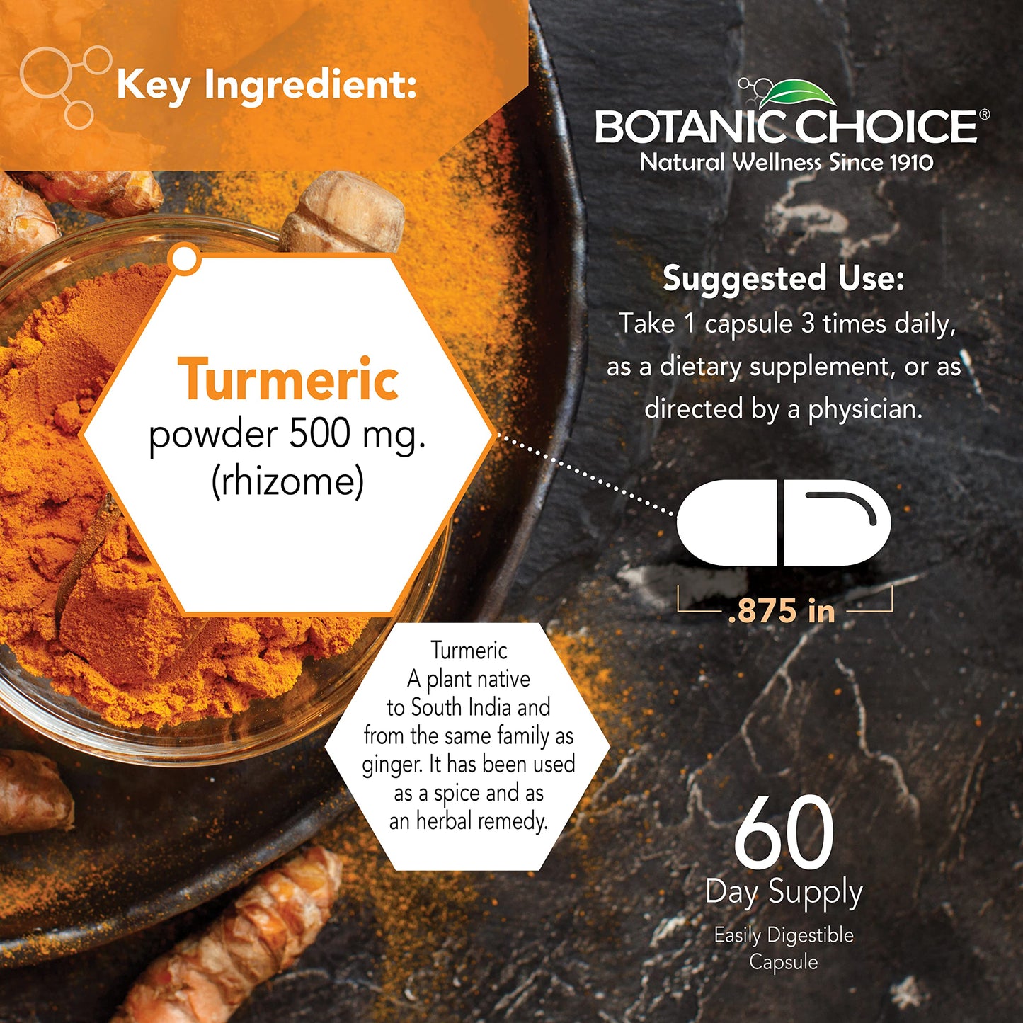 Botanic Choice Premium Turmeric Antioxidant Support - Joint Health Supplement for Adults - 180 Capsules