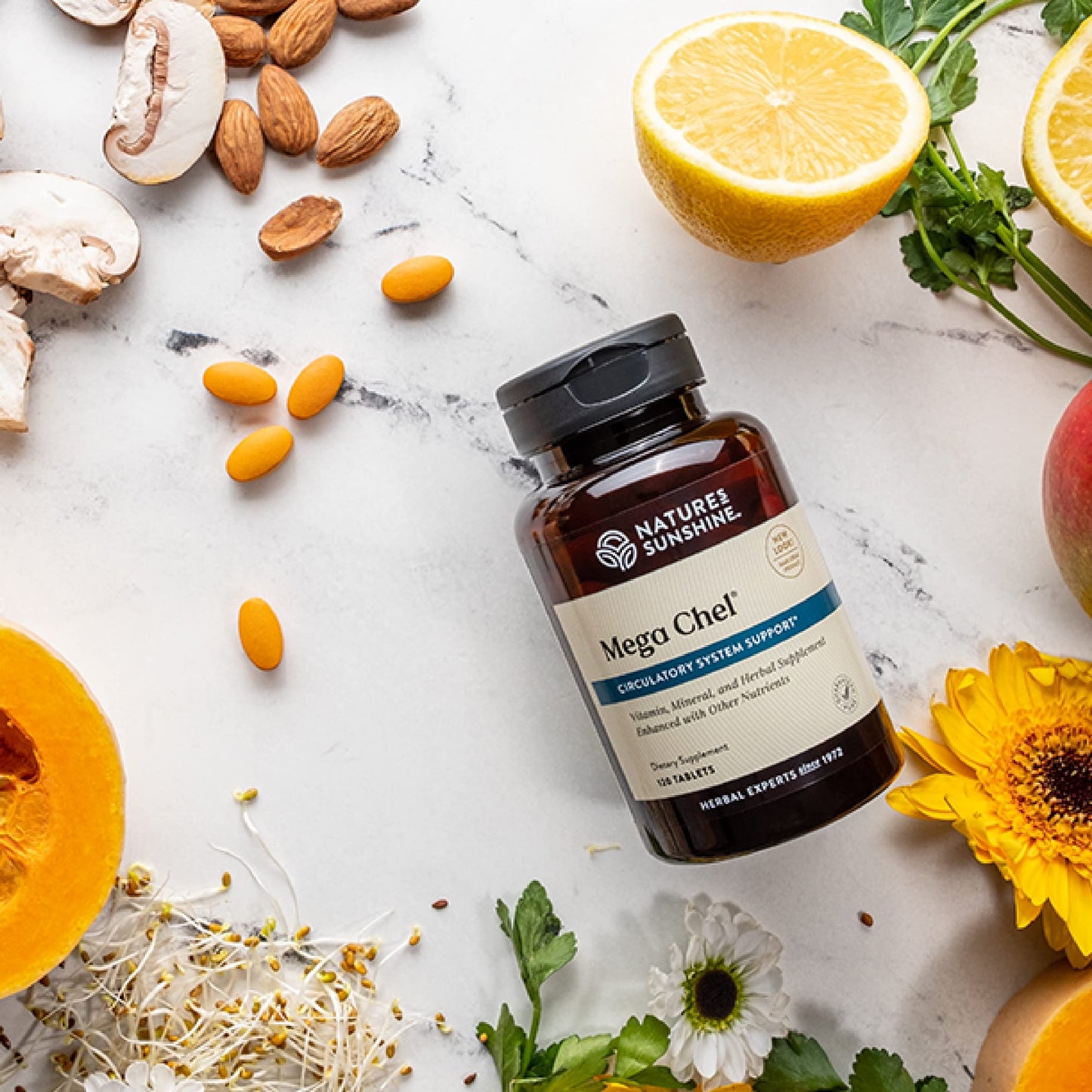 Nature's Sunshine Mega-Chel Tablet 240