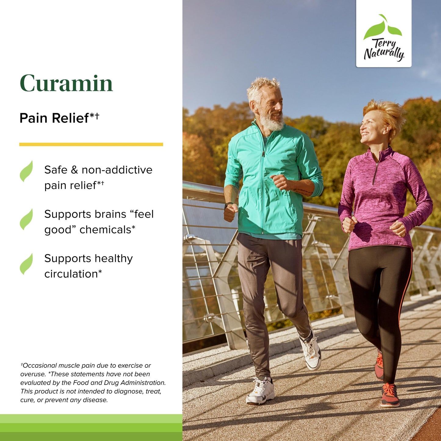 Terry Naturally Curamin 21 Capsules