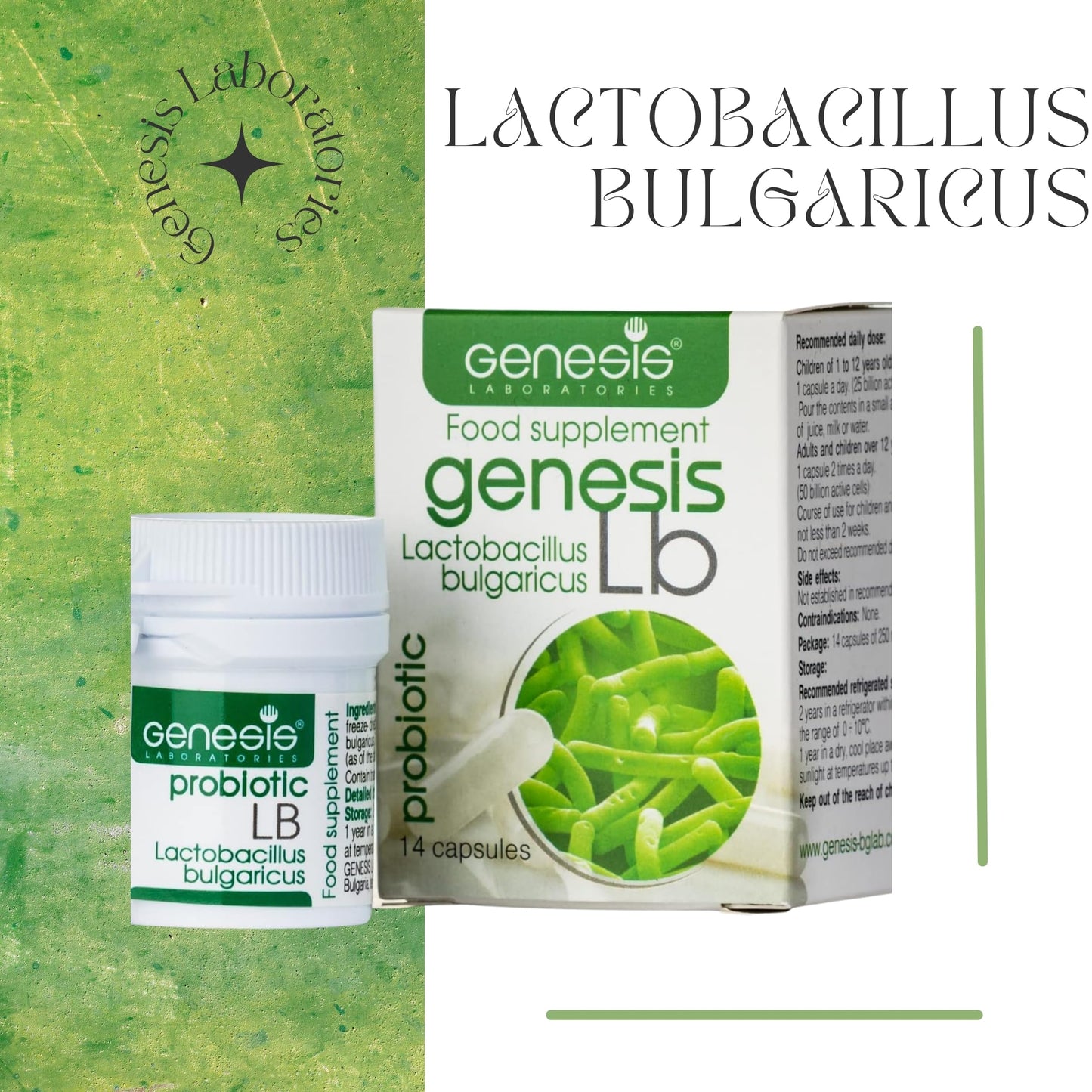 Genesis LABORATORIES LB Probiotic Daily Lactobacillus Bulgaricus Capsule, 14 Count