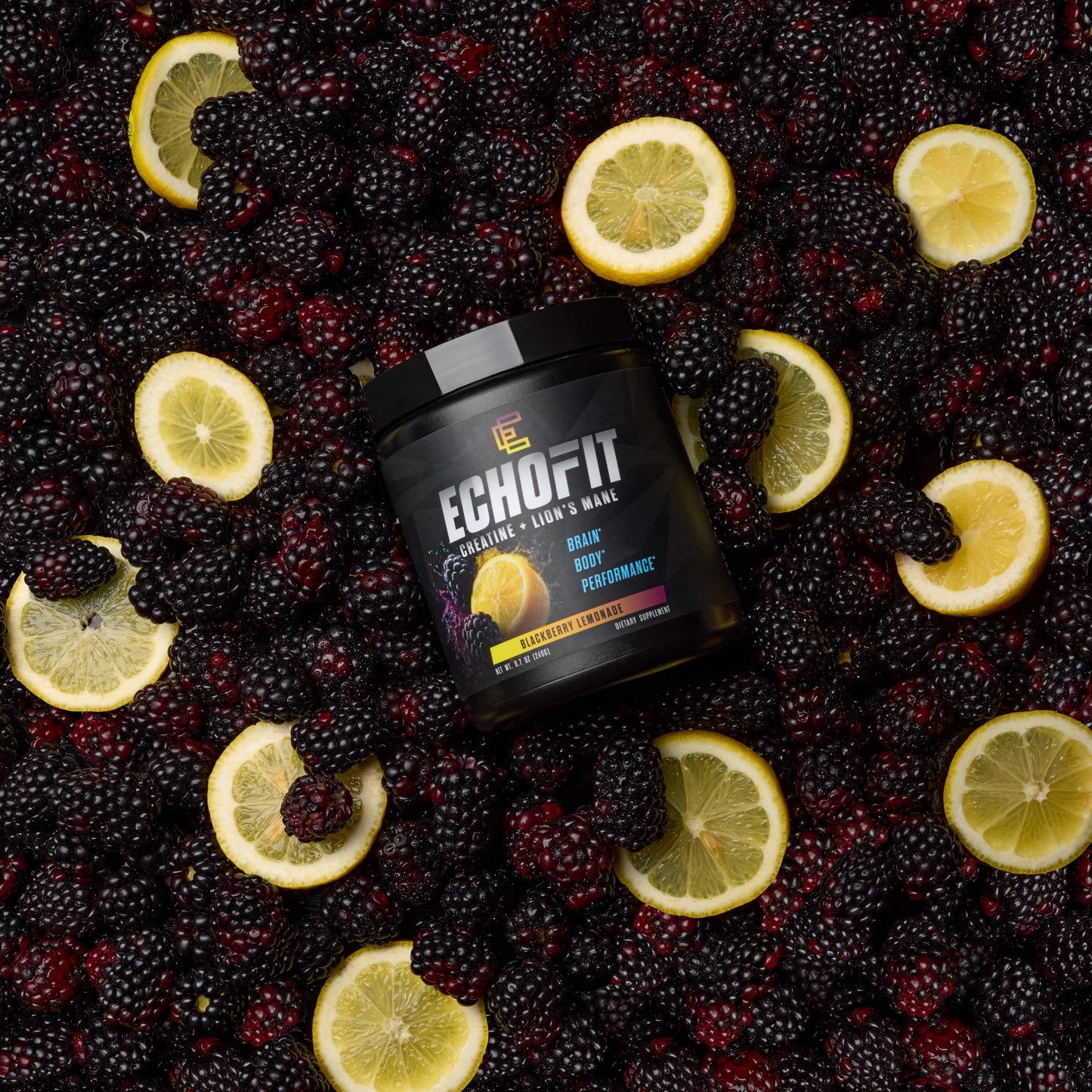 ECHOFIT Creatine Monohydrate + Lion's Mane Supplement Powder, 9.2 Ounce