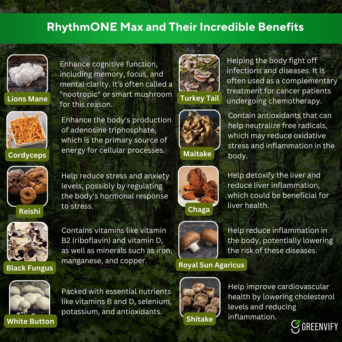 GREENVIFY RhythmONE MAX Mushroom Powder Blend 60 Capsules