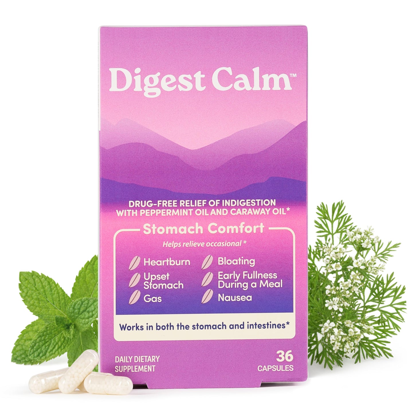 Digest Calm Herbal Relief of Indigestion: Upset Stomach, Nausea & Bloating 36 Capsules