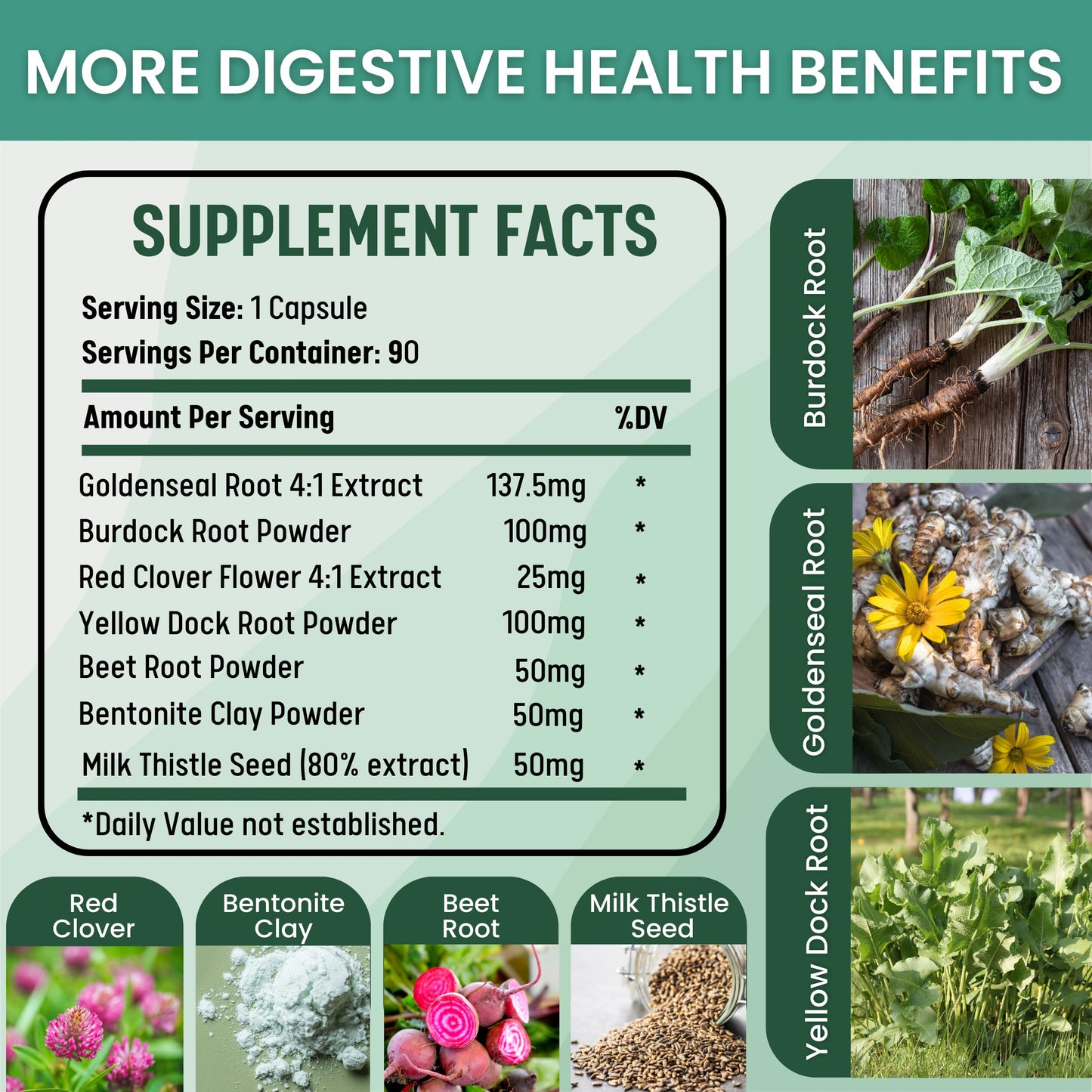 Healblend Detox Formula - Body Cleanse & Digestive Support with Milk Thistle, Bentonite Clay 90 Capsules