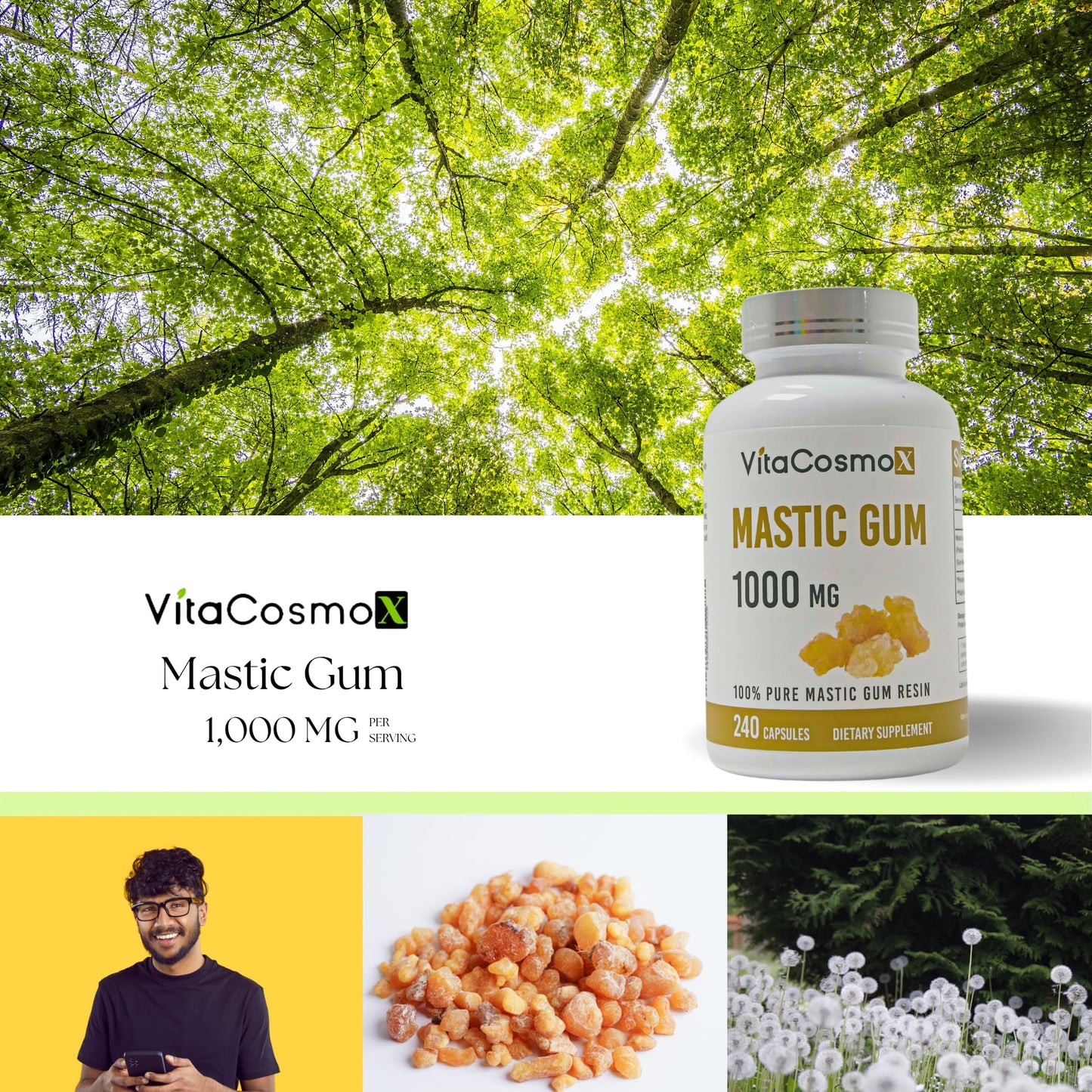 VitaCosmoX Mastic Gum 1000 mg Capsules, 480 Count