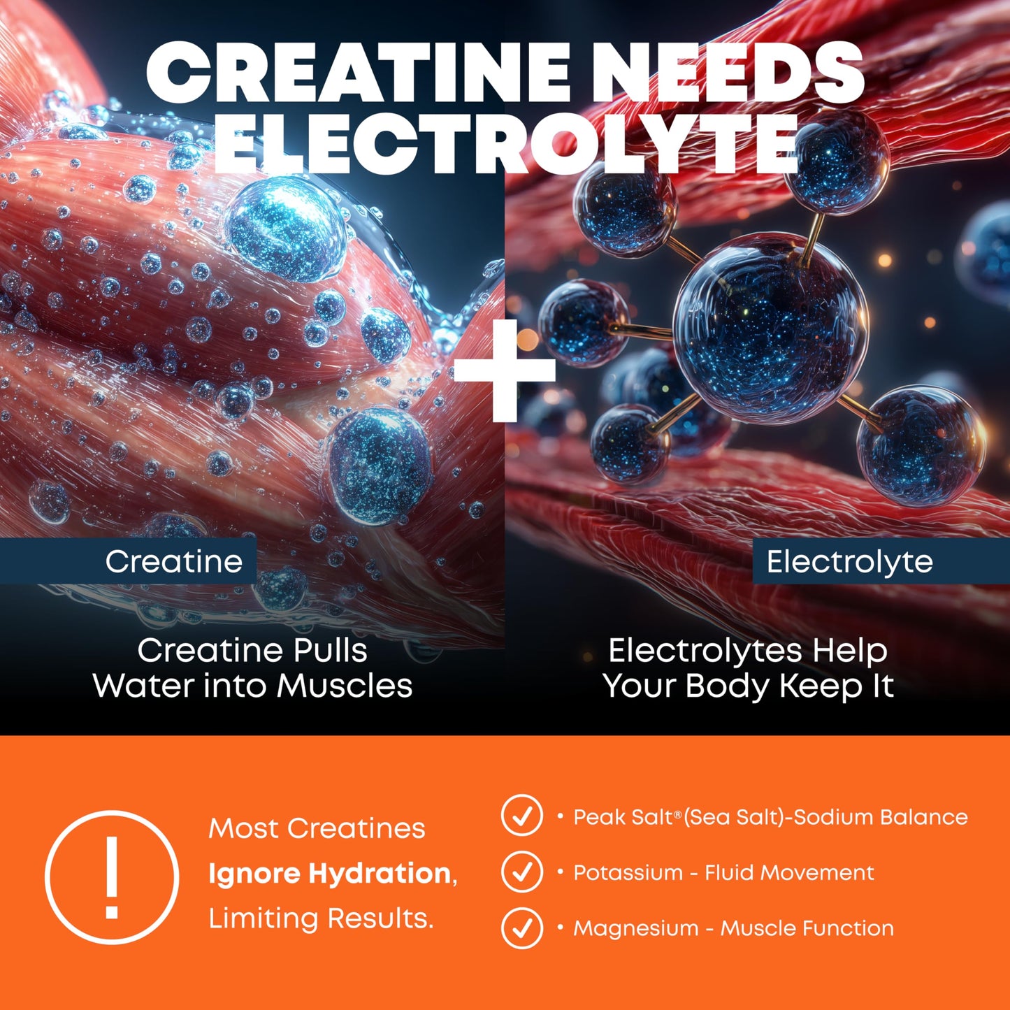 Peak Revival-X Creatine Monohydrate Powder + Electrolyte Hydration Salt Powder, 11.42 Servings