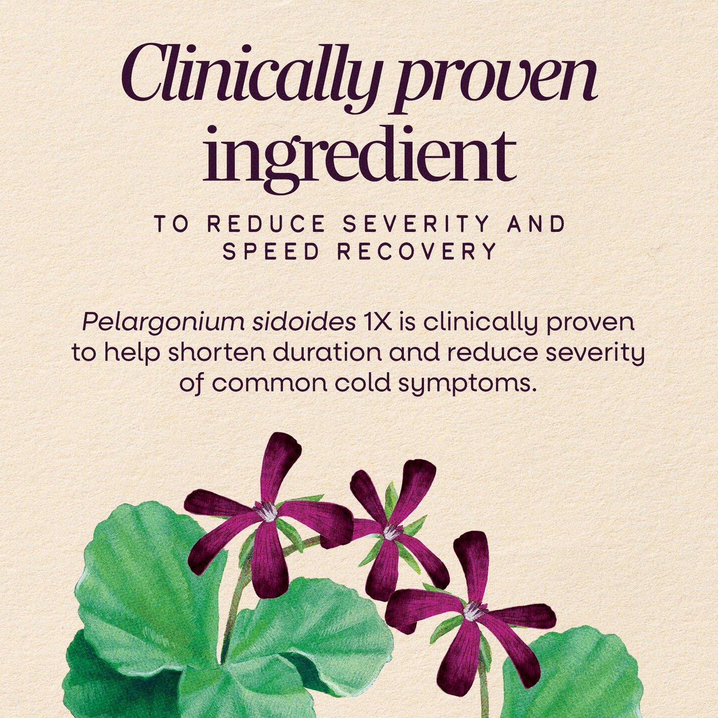 Nature's Way Sambucus Cold+Flu Relief Elderberry Chewable Tablets, 20 Count