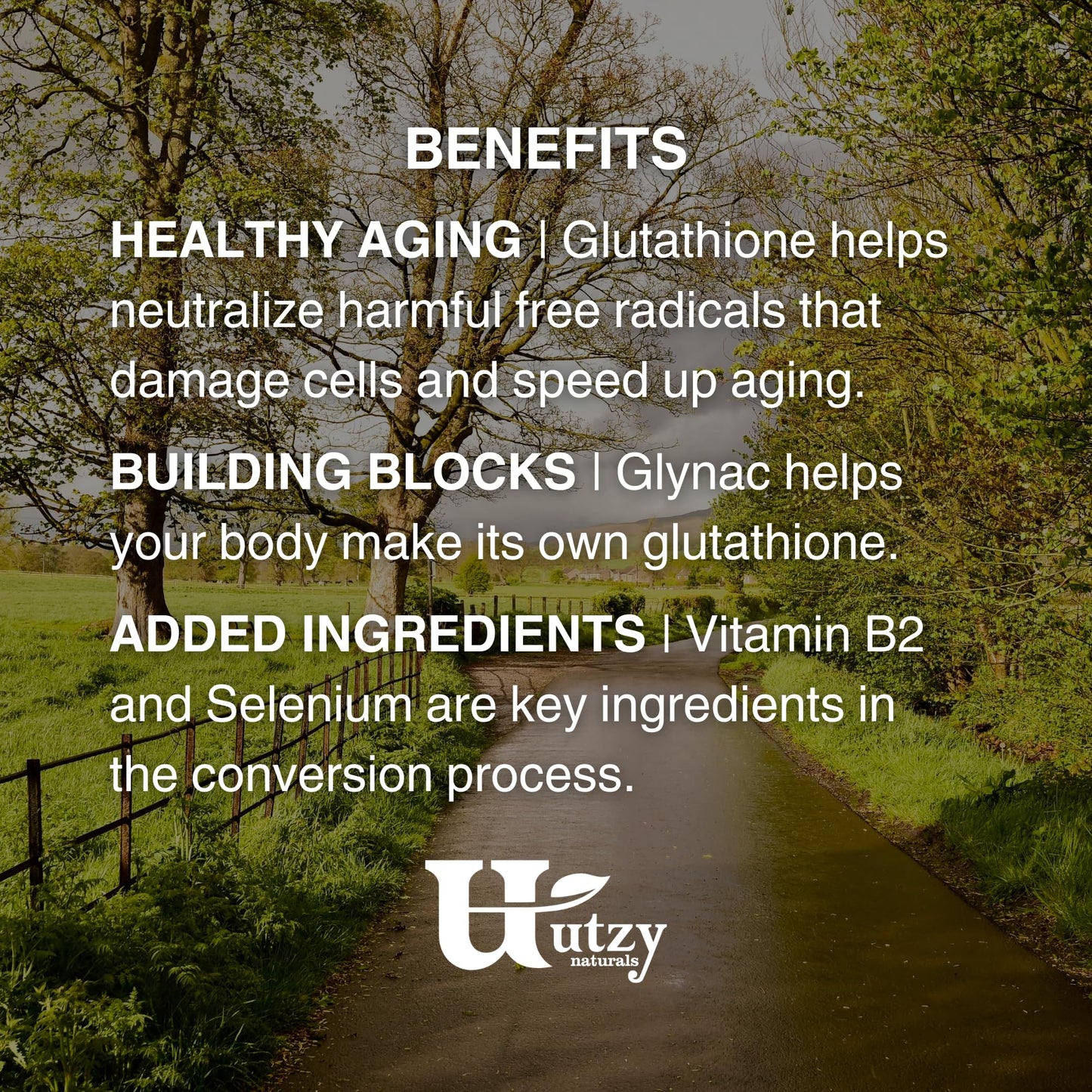 Utzy Naturals GlyNAC+ Supplement 90 Capsules