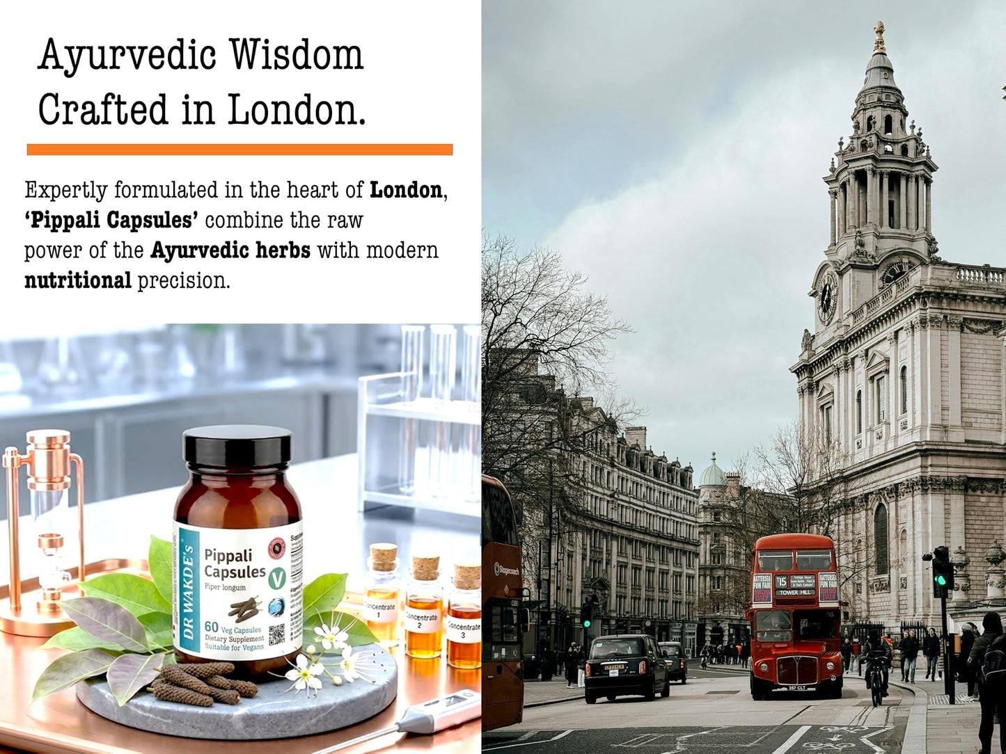 DR WAKDE'S Pippali Capsules 1 Count