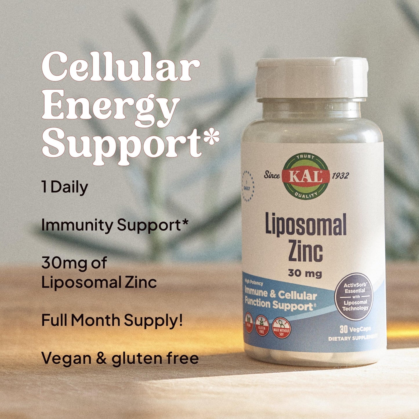 KAL Liposomal Zinc 30mg Capsules, 30 Count