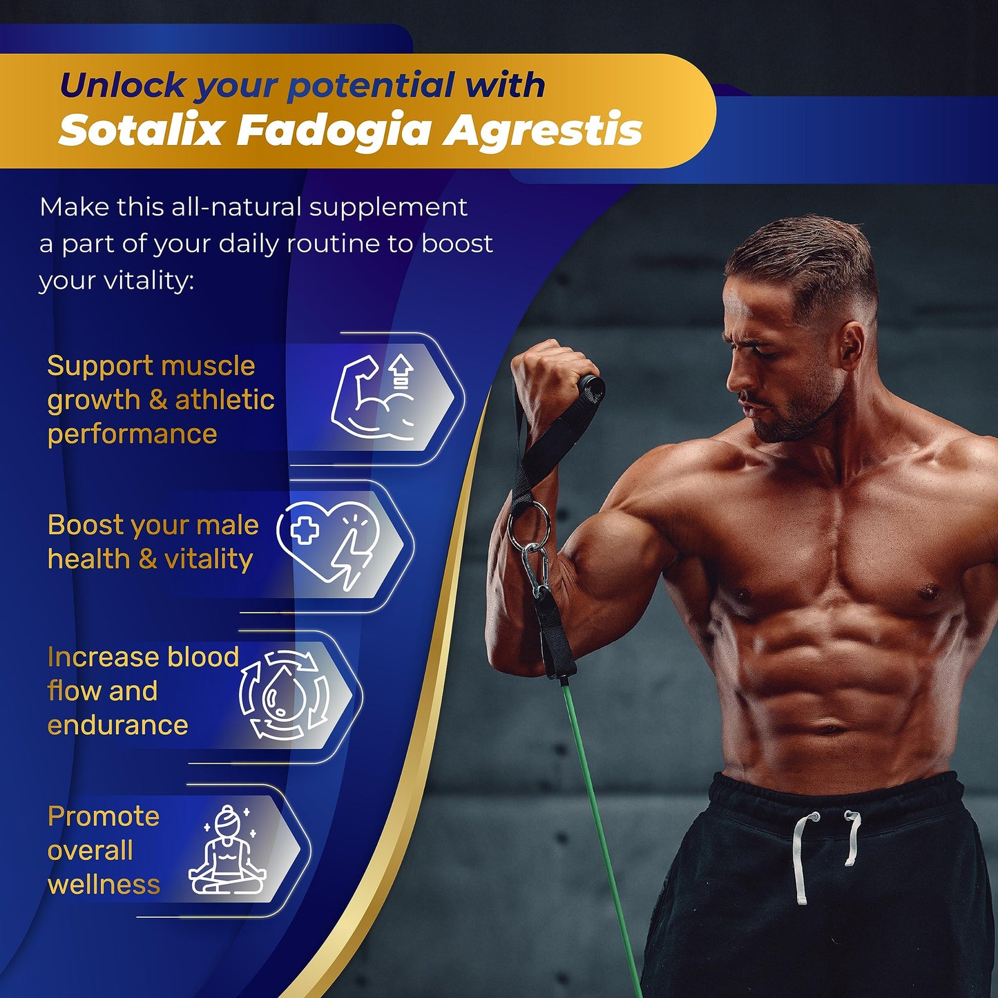 SOTALIX SUPPLEMENT Fadogia Agrestis Capsules, 150 Count