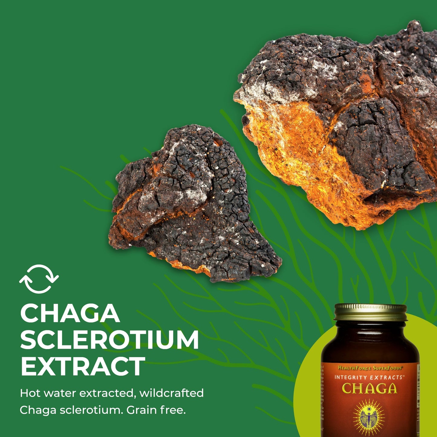 HEALTHFORCE SUPERFOODS Integrity Extracts Chaga Powder 70 Gram