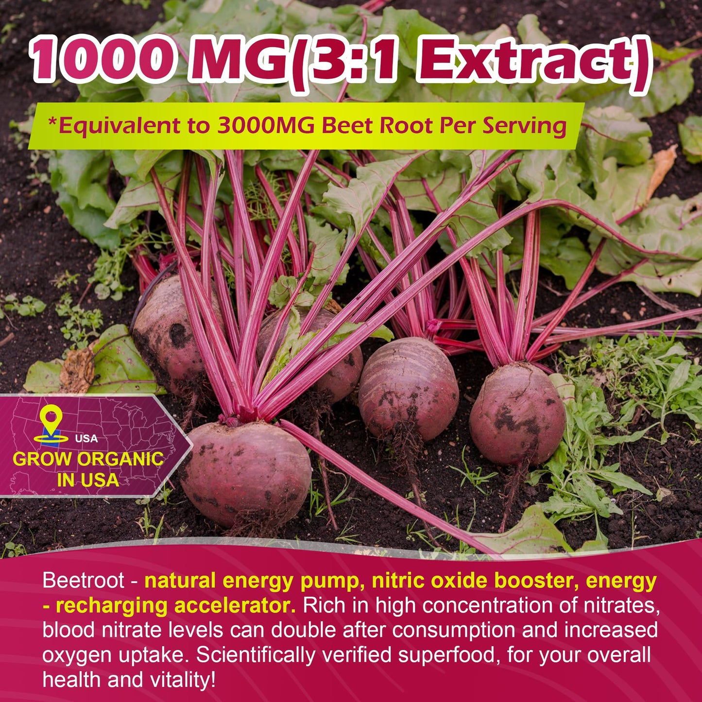 EnvyCure Beet Root Gummies with L-Citrulline & L-Arginine for Nitric Oxide Support, Sugar Free, Vegan, 120 Gummies